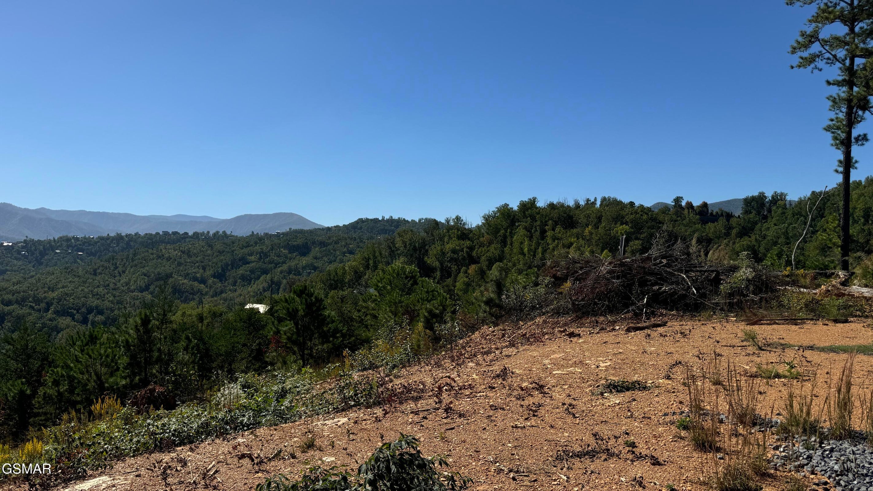 Gatlinburg, Tennessee, 37738, United States, ,Land,For Sale,1973768