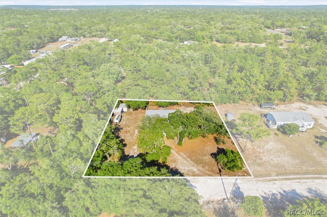 Orwell Pt, Homosassa, FL 34446 #1