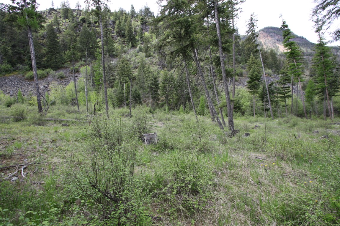 Plains, Montana, 59859, United States, ,Residential,For Sale,1921183