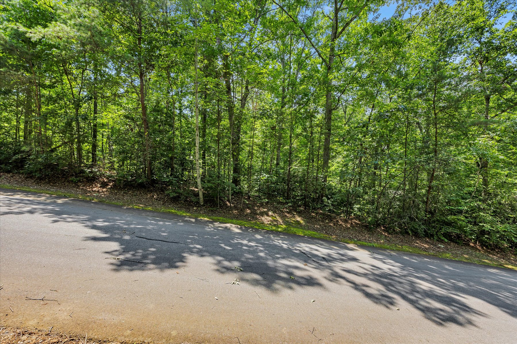  14 Alsace Way, Travelers Rest, SC 29690 - 物件實景