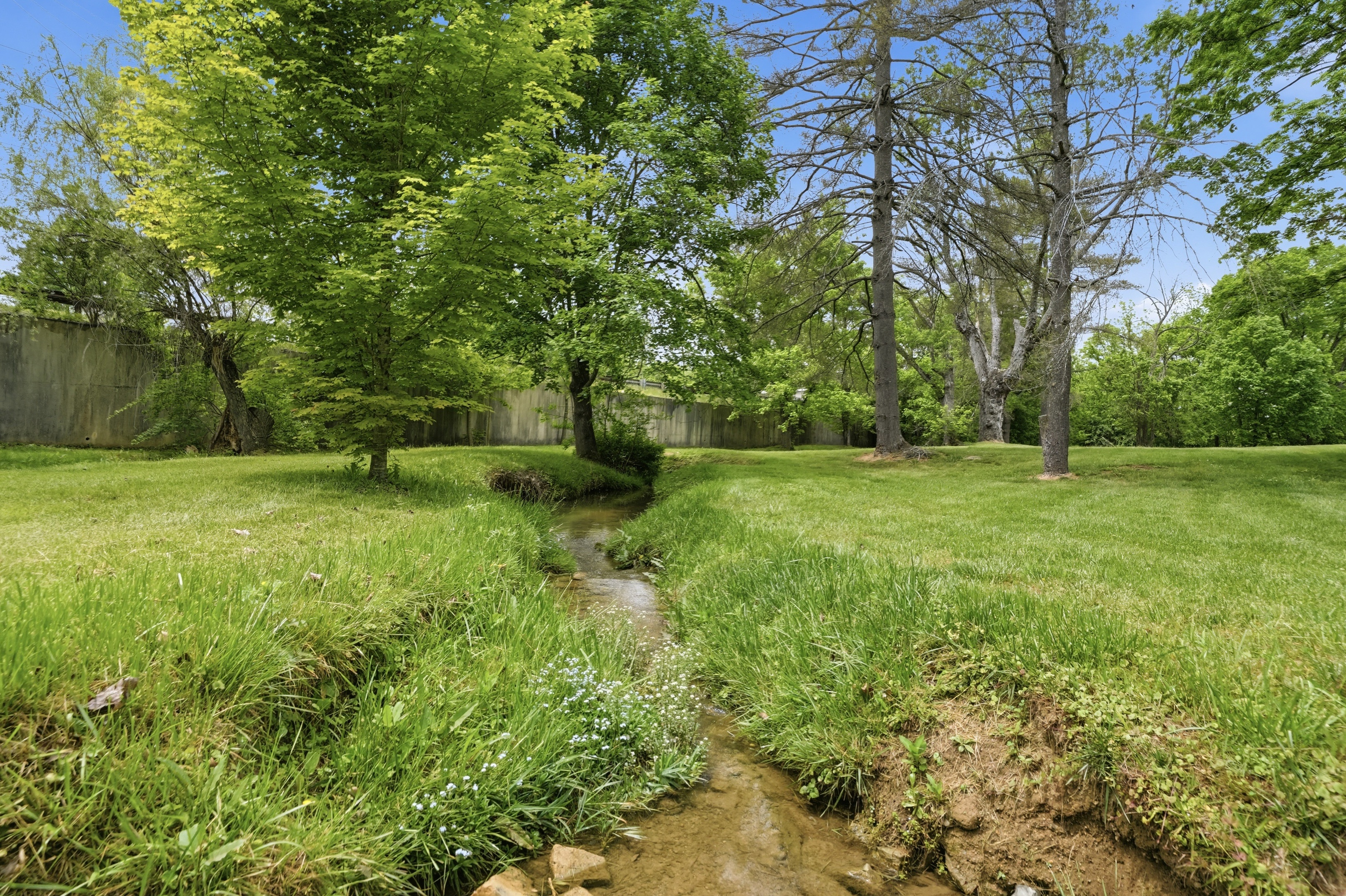  240 Maplehurst Lane, Bluff City, TN 37618 - 物件實景
