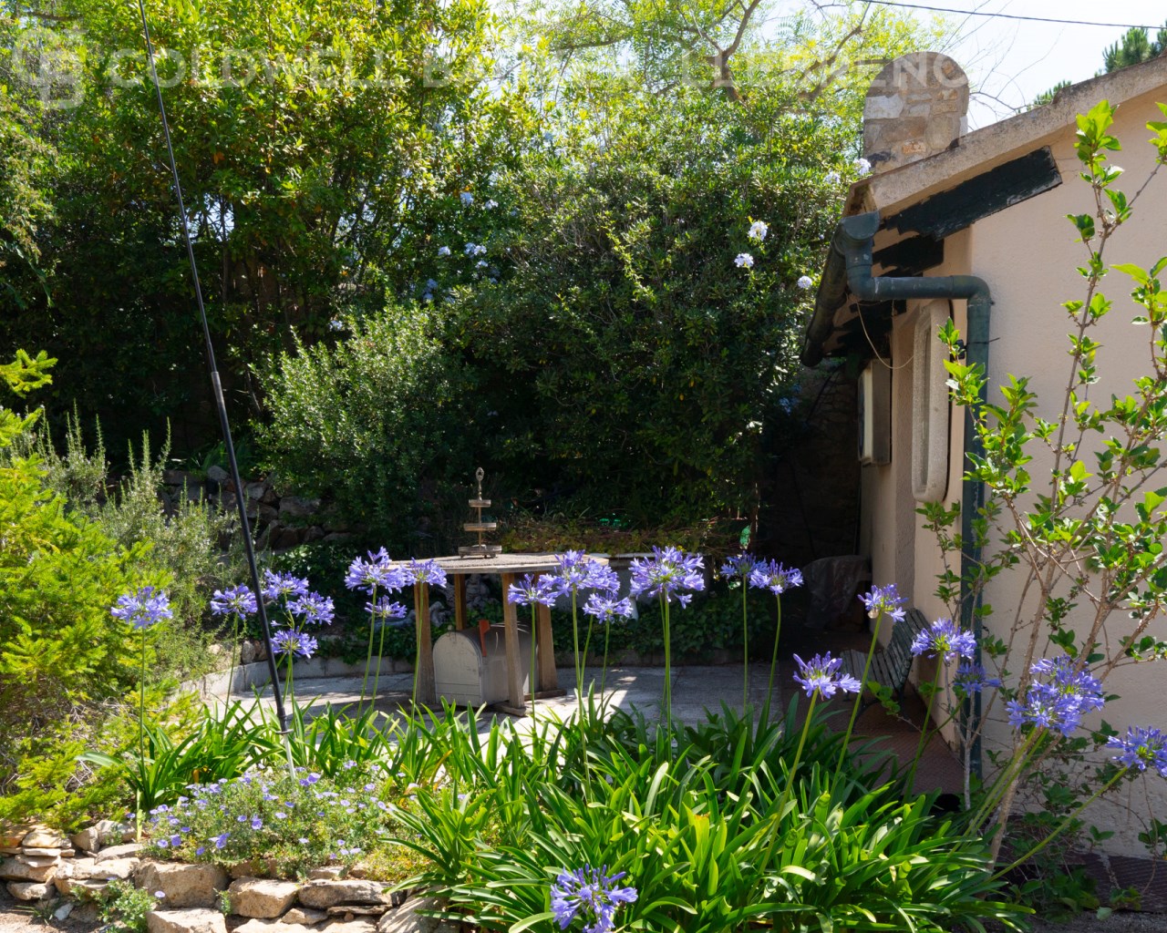 Barcelona, Barcelona, Sarri? - Sant Gervasi, Vallv, Barcelona, Catalonia, ES, 5 Bedrooms Bedrooms, ,4 BathroomsBathrooms,Residential,For Sale,Barcelona, Barcelona, Sarri? - Sant Gervasi, Vallv,1612834