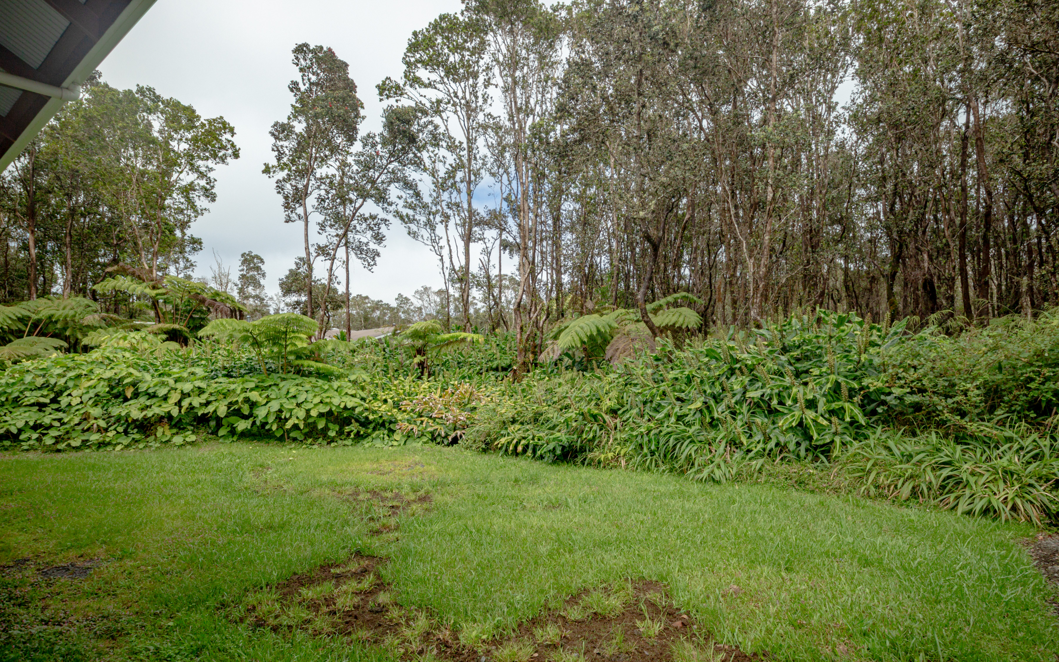 11-3925-A Liona St., Volcano, HI 96785 - 物件實景