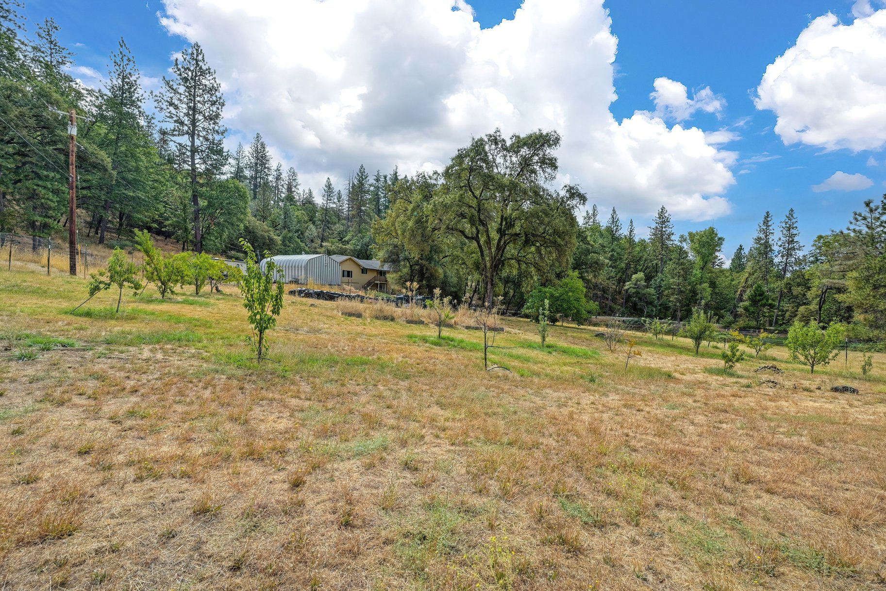  Spacious Grass Valley Country Property, 5 acres, shop and pond - 物件實景