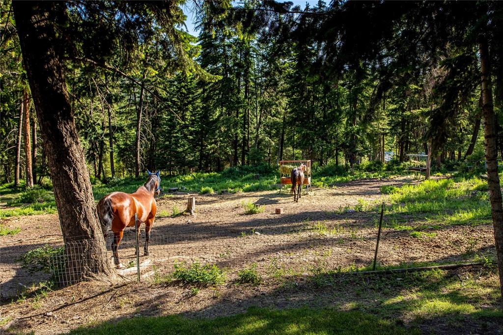 Polson, Montana, 59860, United States, 3 Bedrooms Bedrooms, ,1 BathroomBathrooms,Residential,For Sale,1982519
