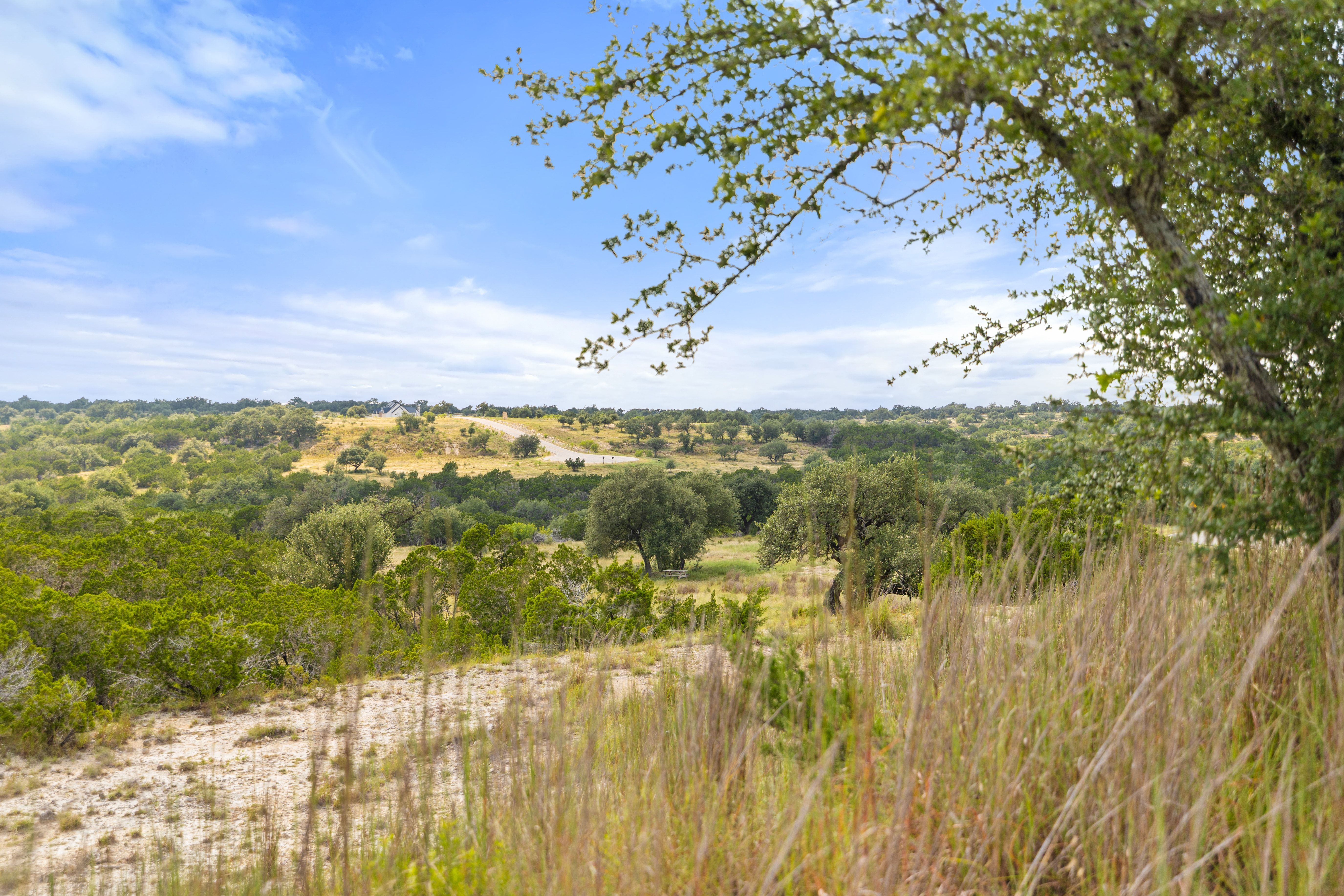  Dream Home Worthy 5 Acre Lot - 147 East Flying Owl Drive - 物件實景