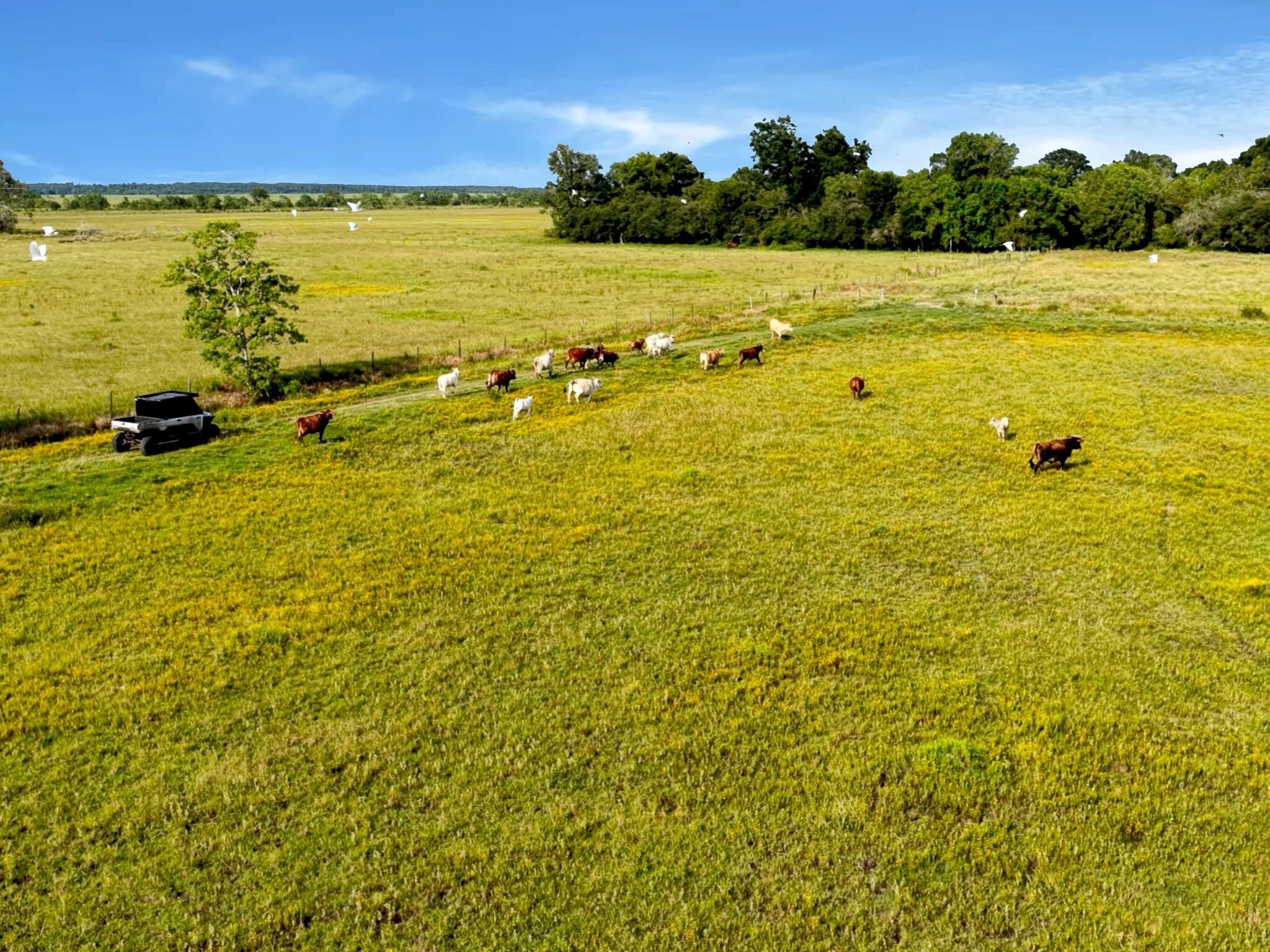 Anahuac, Texas, 77514, United States, ,Land,For Sale,1947447