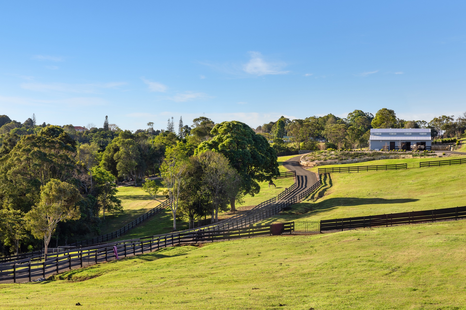 305 Coolamon Scenic Drive, Coorabell - 物件實景