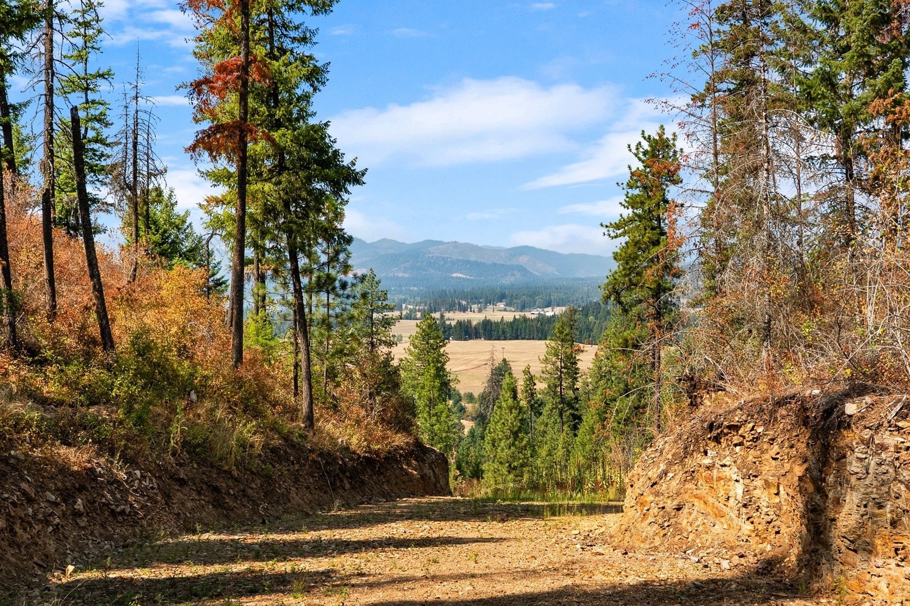  Moose Mountain Lot 3B - 物件實景