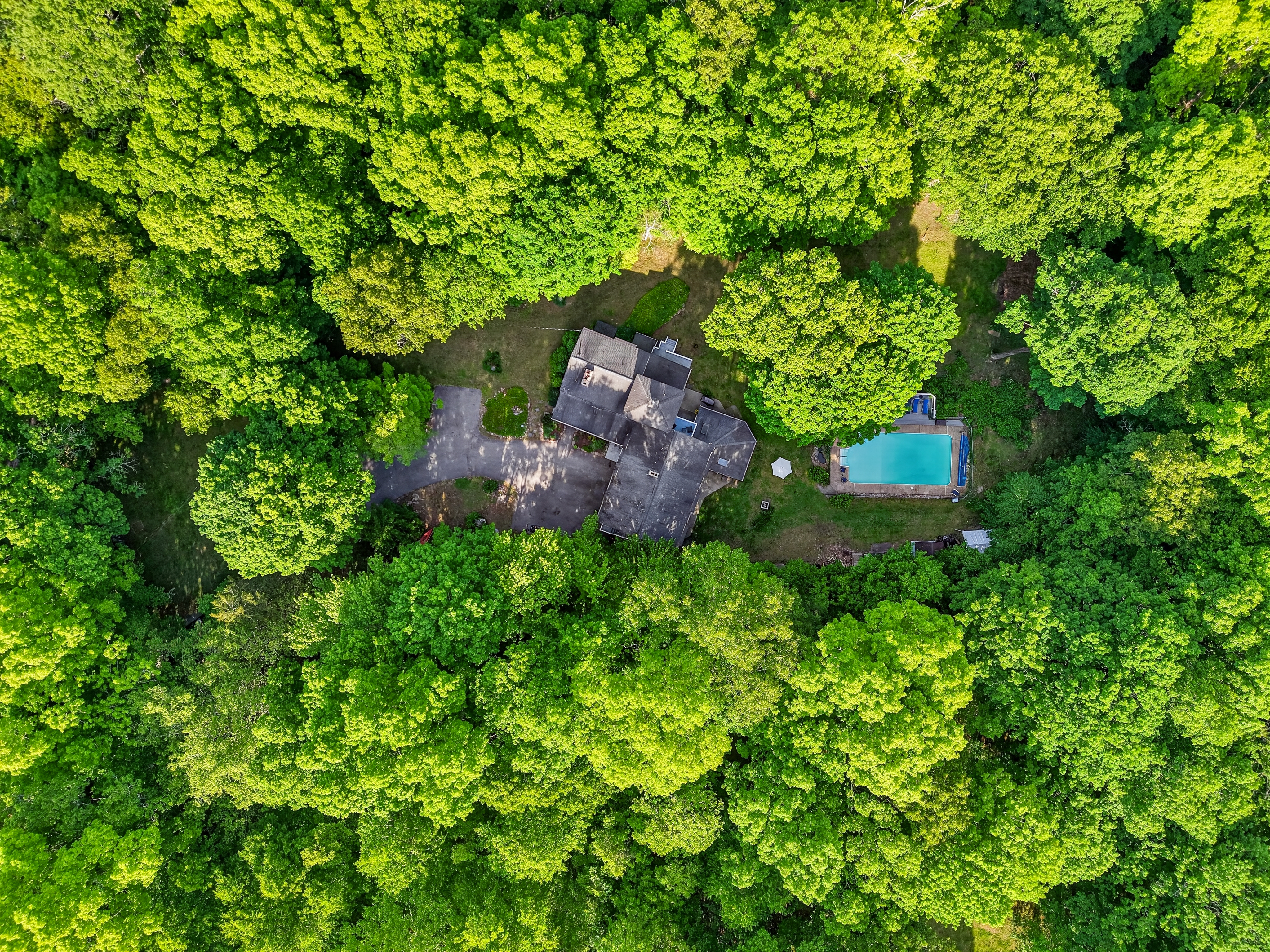 Secluded Woodland Haven on 1.84 Private Acres - 物件實景