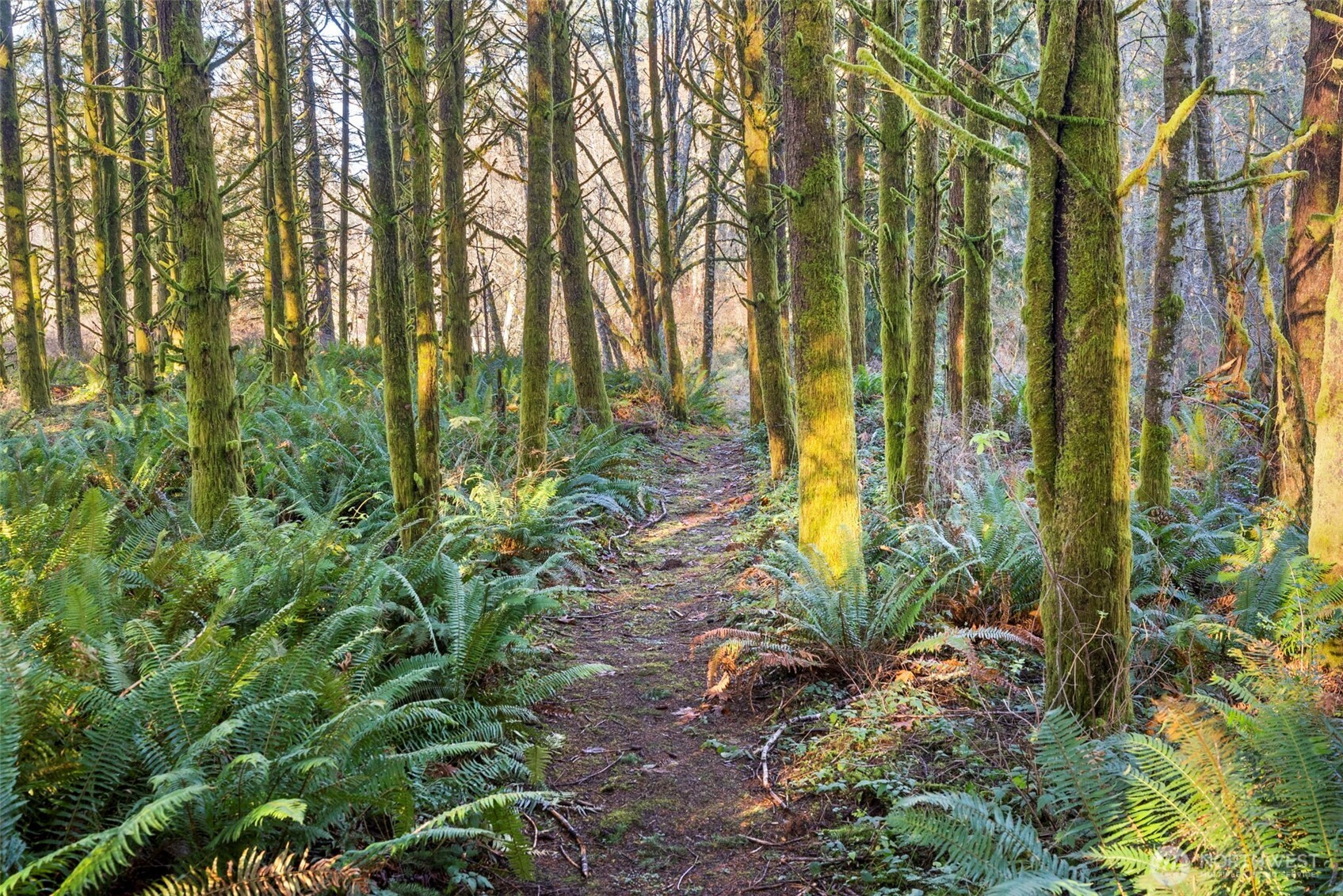 Chehalis, Washington, 98532, United States, 2 Bedrooms Bedrooms, ,1 BathroomBathrooms,Residential,For Sale,2002631