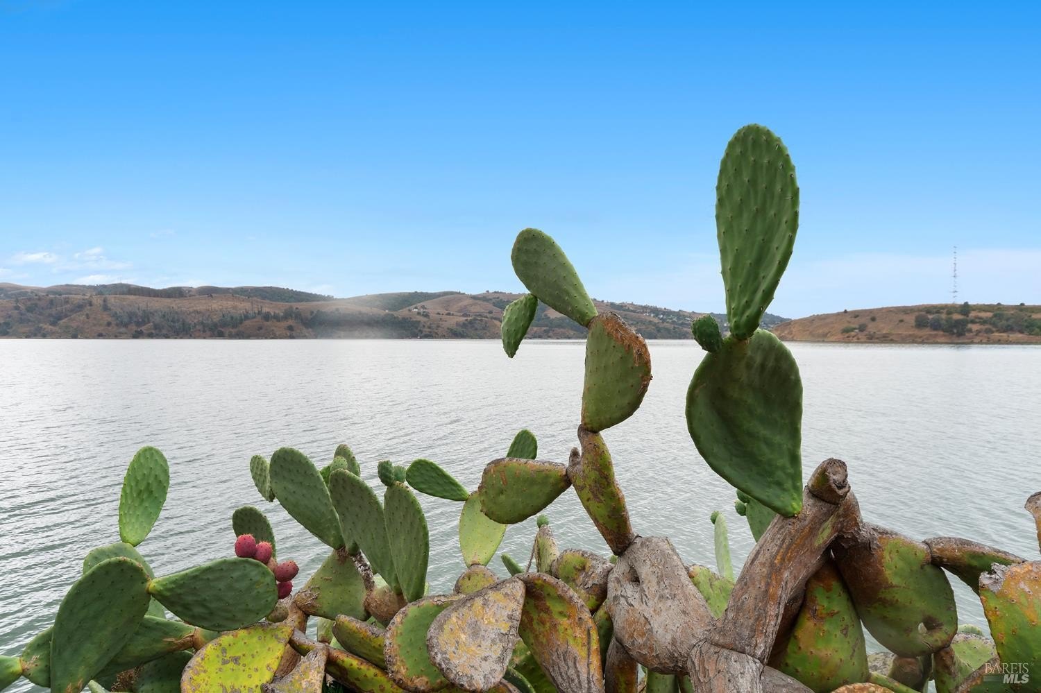 Benicia, California, 94510, United States, 3 Bedrooms Bedrooms, ,4 BathroomsBathrooms,Residential,For Sale,1960950