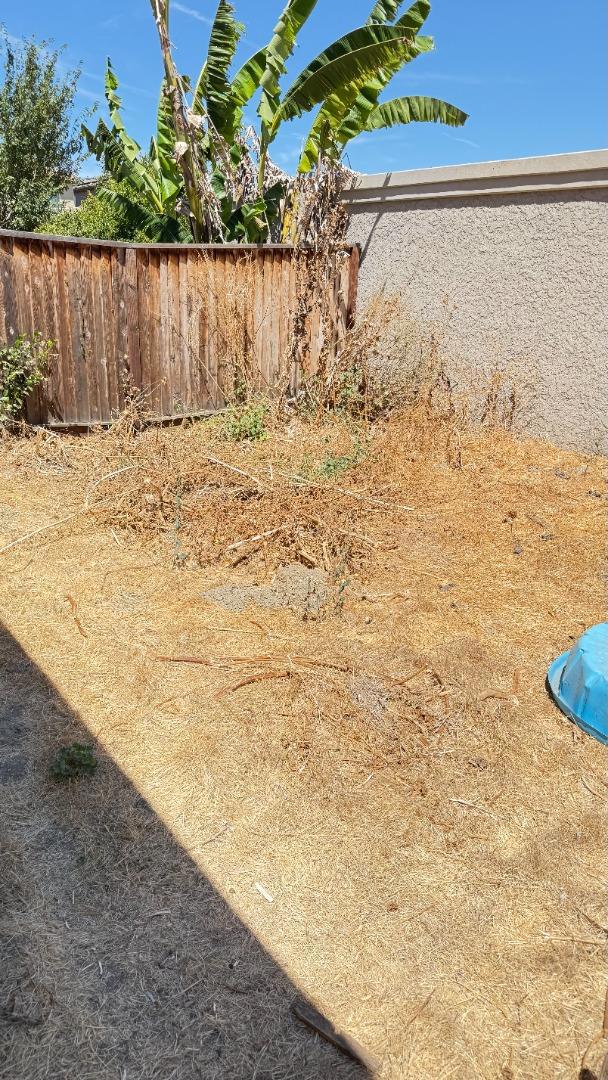 Hollister, California, 95023, United States, 4 Bedrooms Bedrooms, ,3 BathroomsBathrooms,Residential,For Sale,1980715