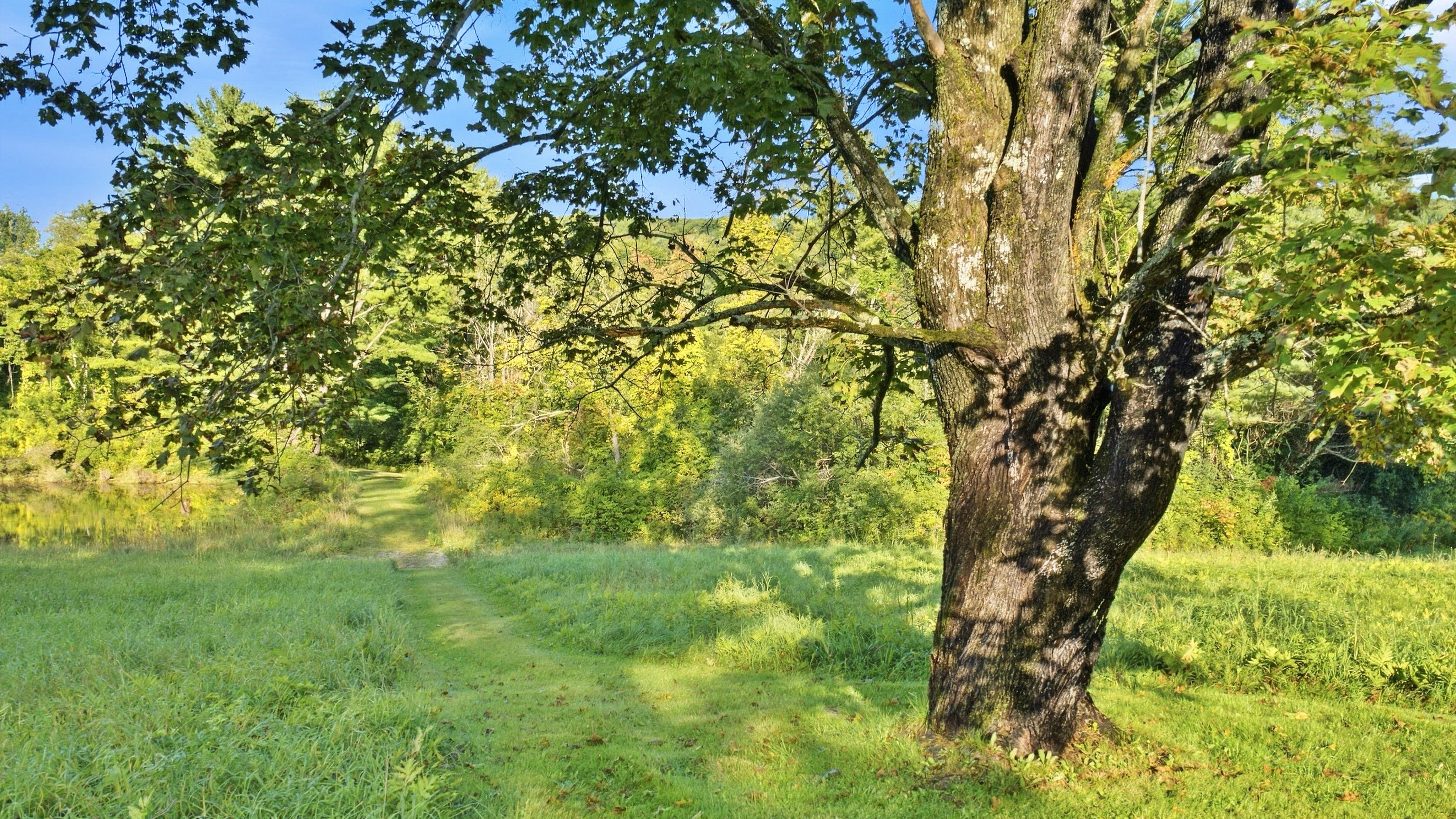  Richmond Estate Near Tanglewood: 5+ Acres, Pond Access, & Bonus Suite - 物件實景