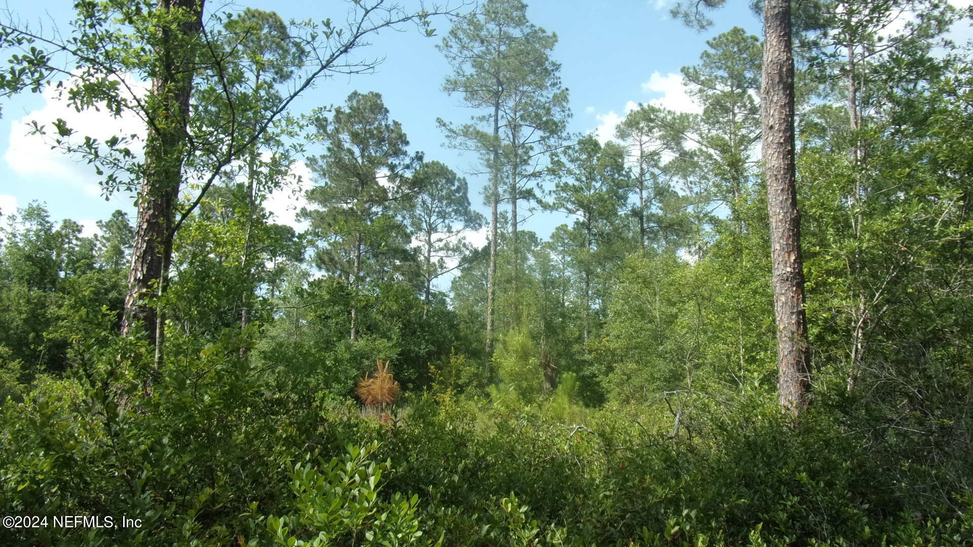 Palatka, Florida, 32177, United States, ,Residential,For Sale,1924559