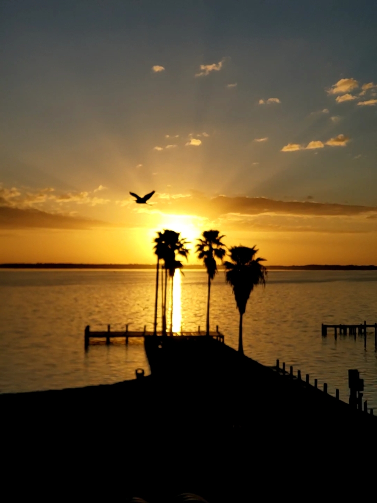 CRESCENT CITY, Florida, 32112, United States, 4 Bedrooms Bedrooms, ,4 BathroomsBathrooms,Residential,For Sale,1980805