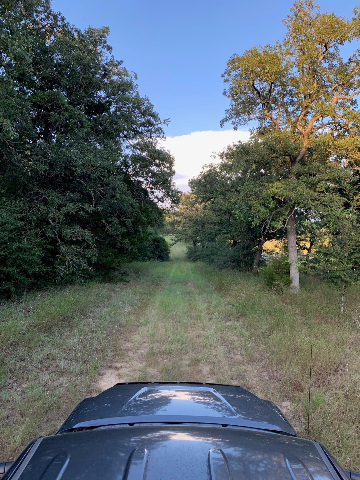 5632 County Road 317, Caldwell, Texas, 77836, United States, ,Land,For Sale,5632 County Road 317,1626286