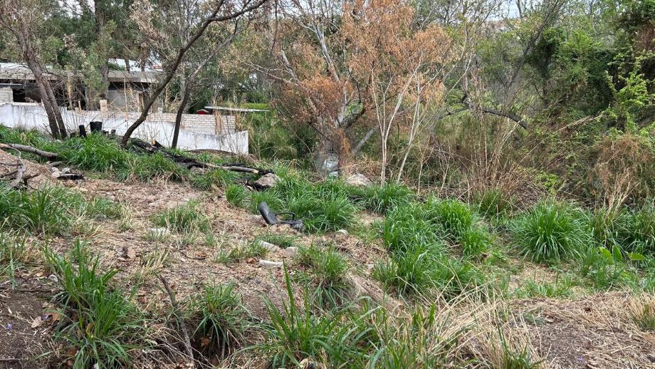 Av. Bosques de San Isidro Sur, Zapopan, Jalisco, 45133, Mexico, 1 Bedroom Bedrooms, ,Residential,For Sale,Av. Bosques de San Isidro Sur,1588840