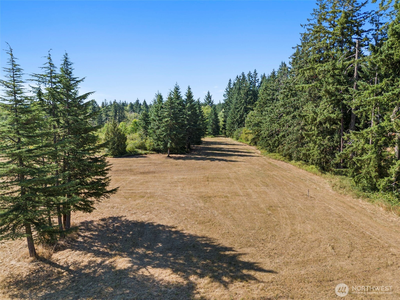 Napavine, Washington, 98565, United States, 5 Bedrooms Bedrooms, ,2 BathroomsBathrooms,Residential,For Sale,1981873