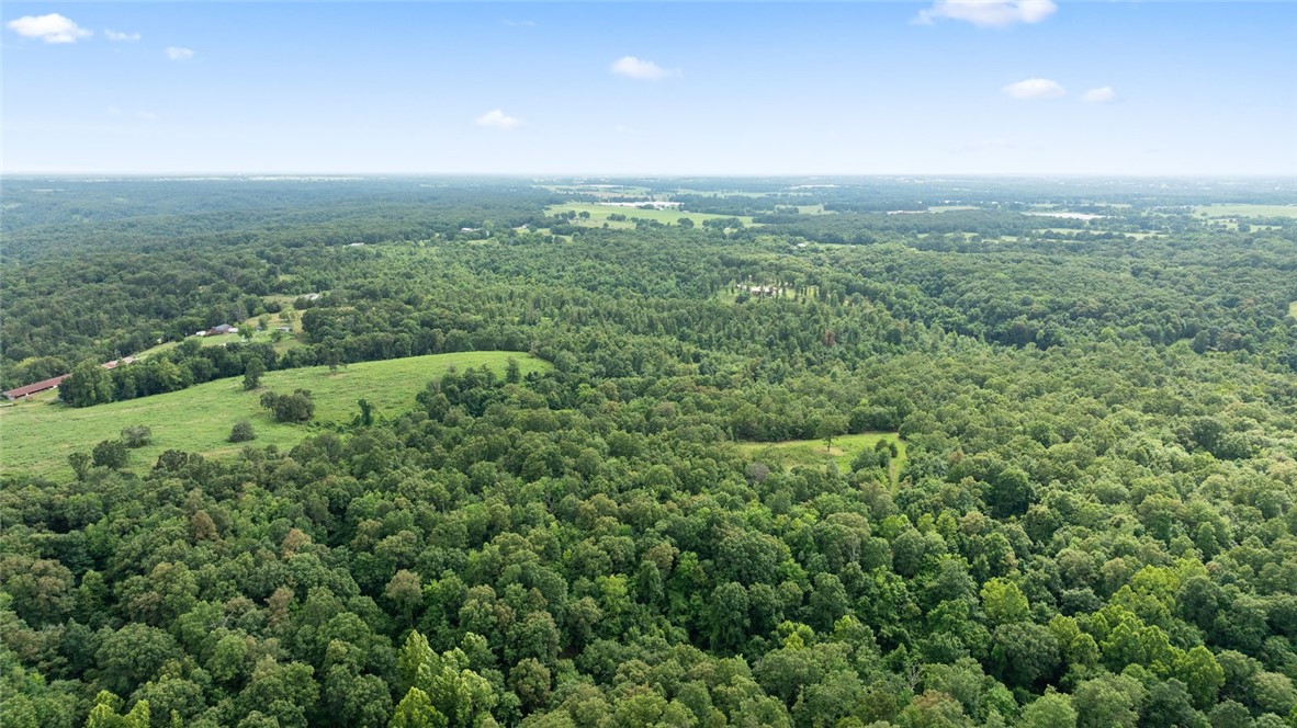 Noel, Missouri, 64854, United States, ,Land,For Sale,1785483