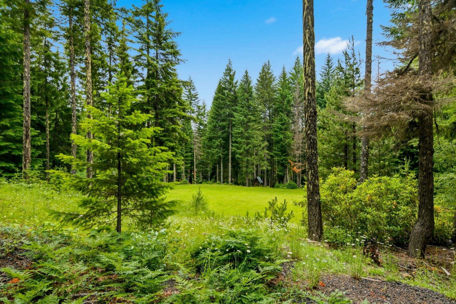  93732 E Highway 26 Government Camp, OR 97028 - 物件實景