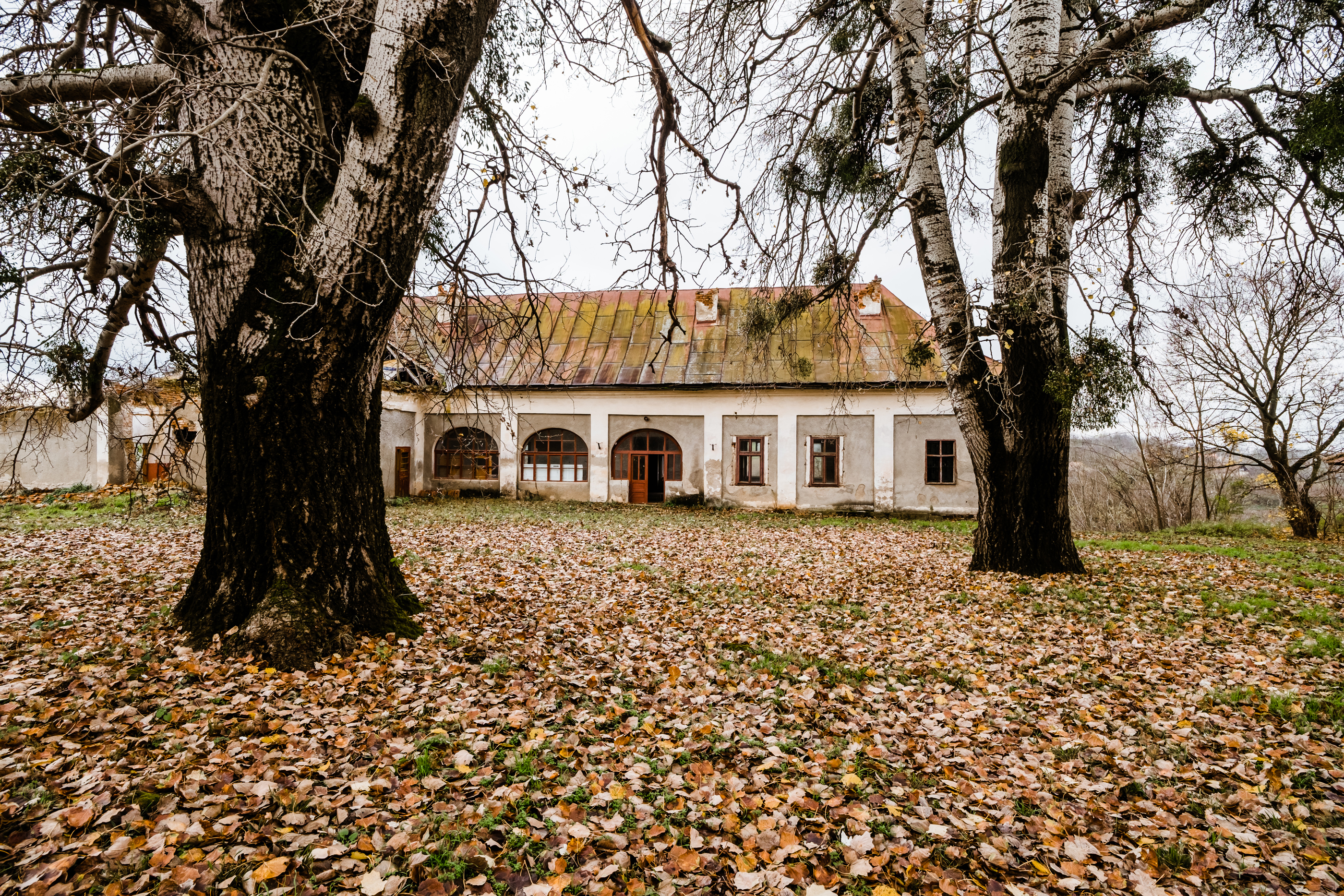 The Bónis Manor from Cubulcut - A Retreat of the Hungarian Crown - 物件實景