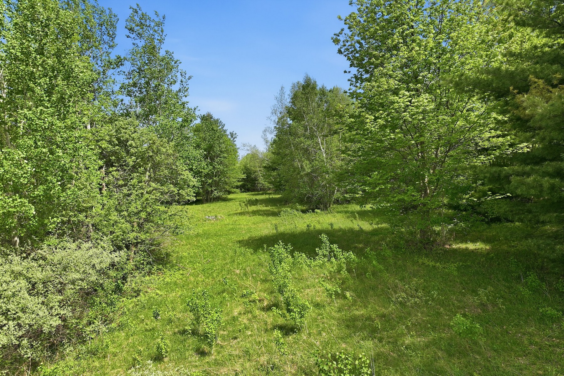  351 Ledgewood Drive - 物件實景