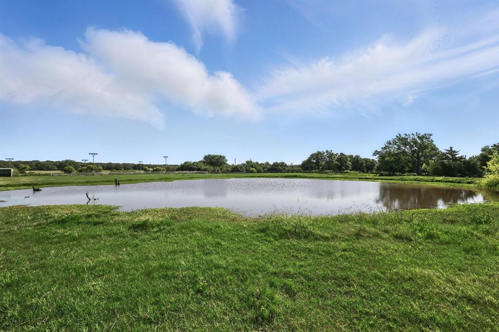 Pilot Point, Texas, 76258, United States, 5 Bedrooms Bedrooms, ,4 BathroomsBathrooms,Residential,For Sale,1980734