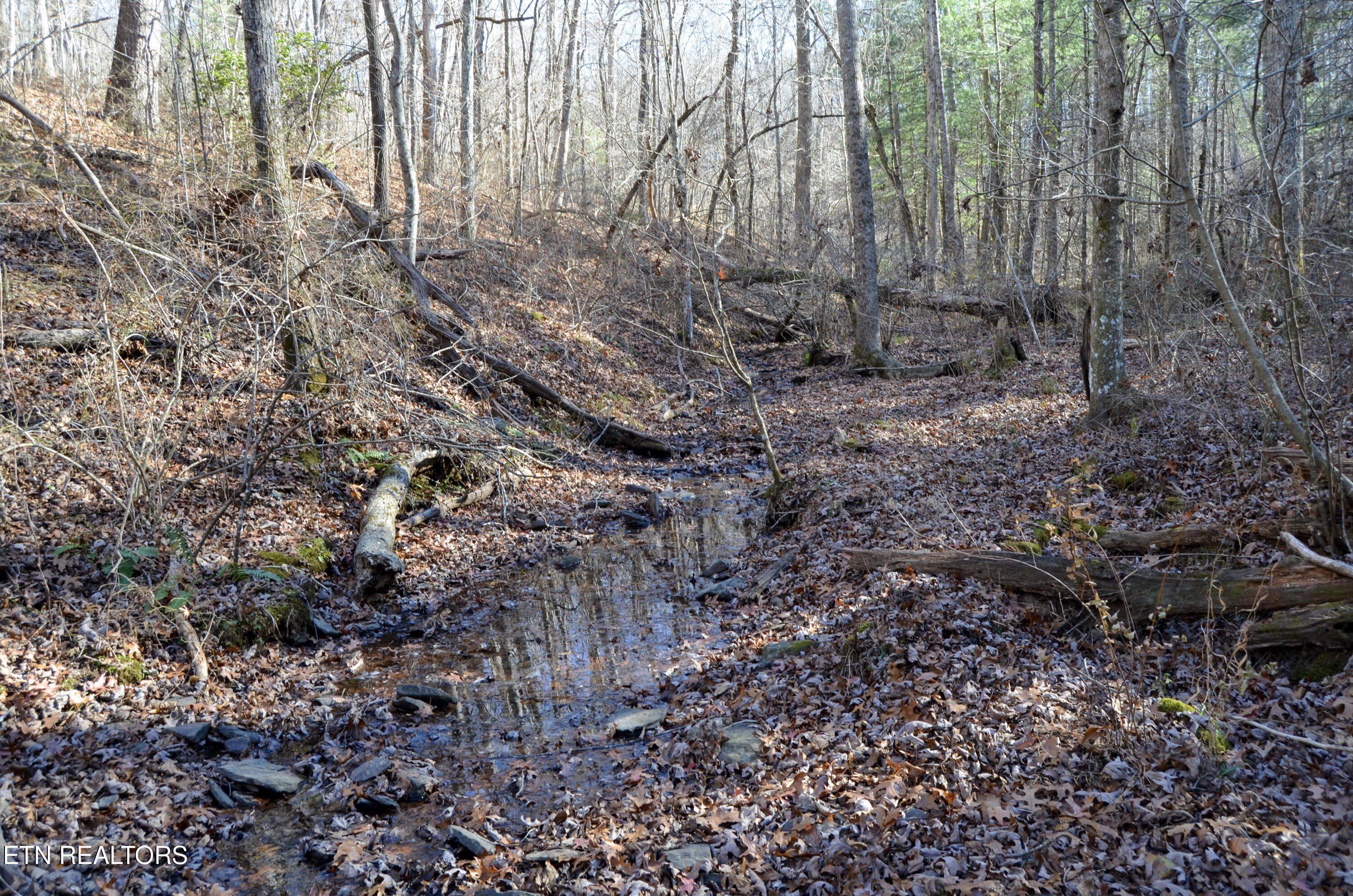 Crossville, Tennessee, 38555, United States, ,Land,For Sale,1978266