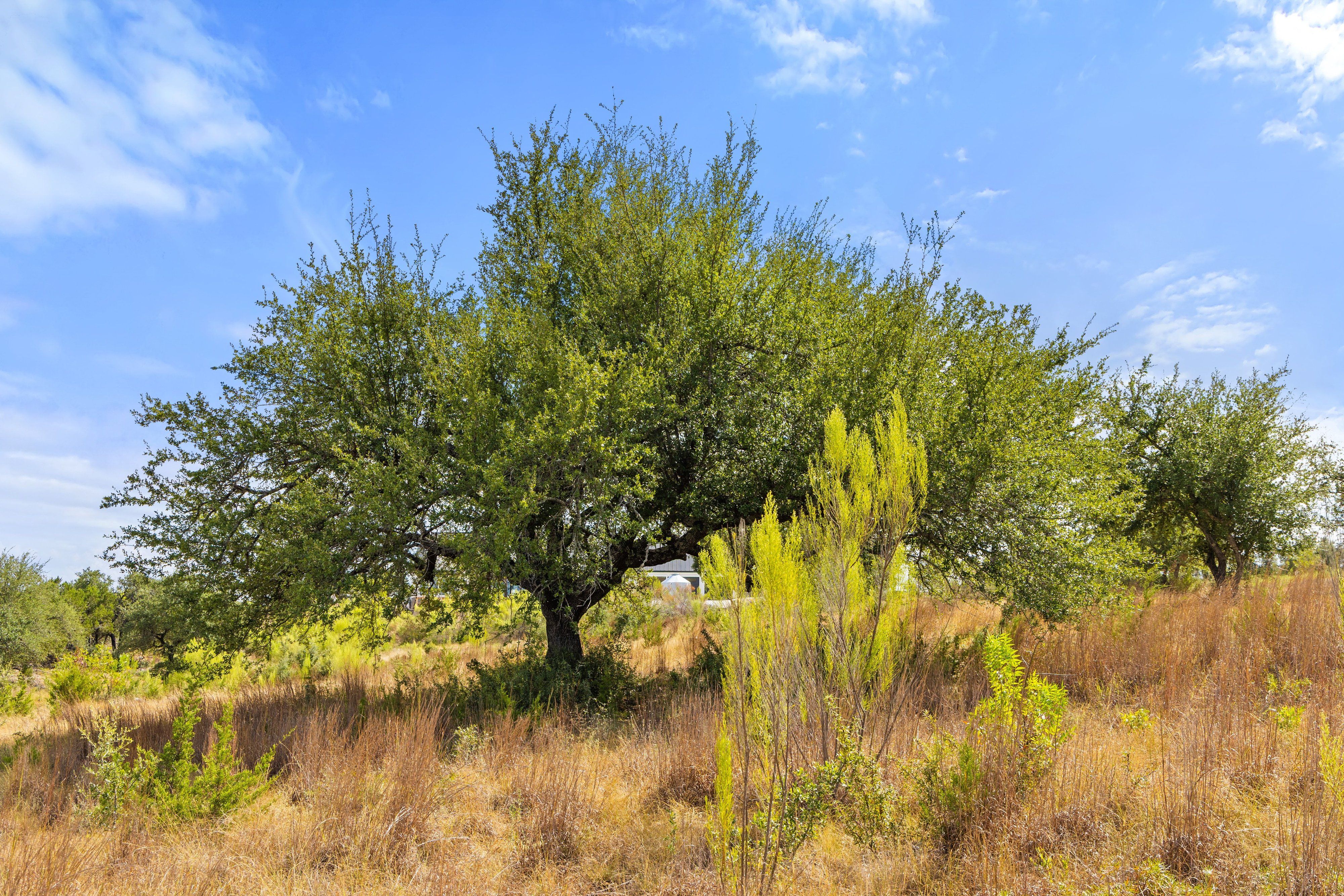  136 Legacy Hills Drive - Stunning 5 acre lot in a luxury gated community - 物件實景