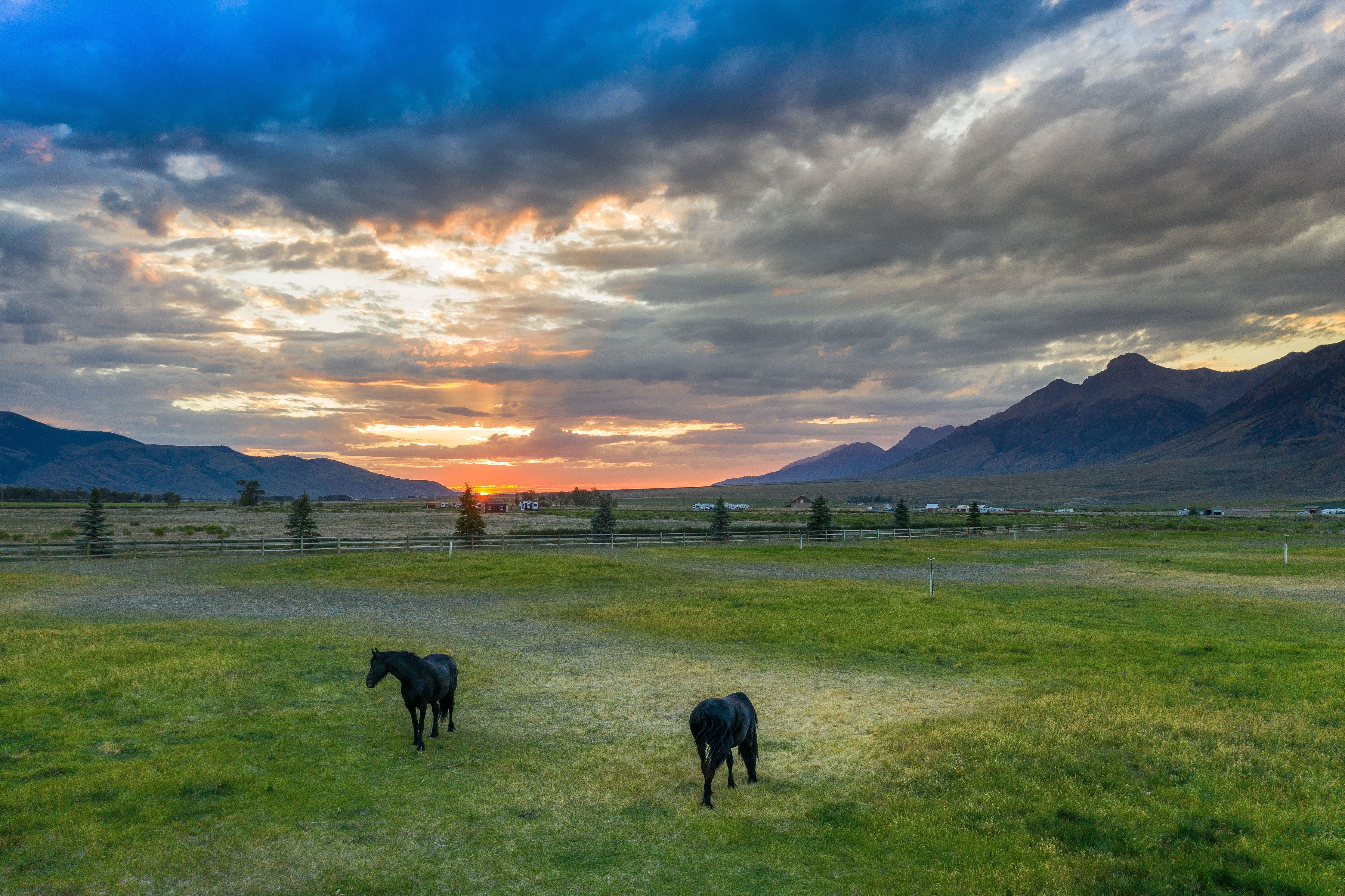  Equestrian Estate at the Base of Mt. Borah - 物件實景