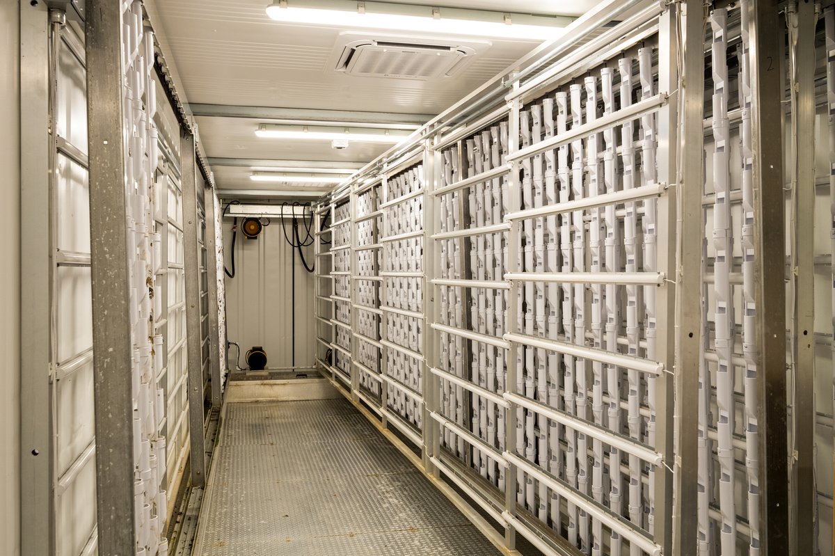 Carpenter, Wyoming, 82054, United States, 4 Bedrooms Bedrooms, ,1 BathroomBathrooms,Residential,For Sale,1984382