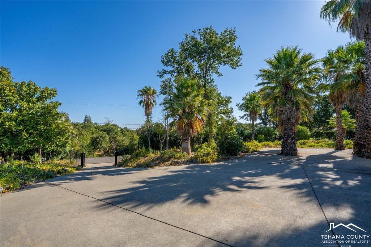 Red Bluff, California, 96080-0000, United States, 4 Bedrooms Bedrooms, ,4 BathroomsBathrooms,Residential,For Sale,1906504