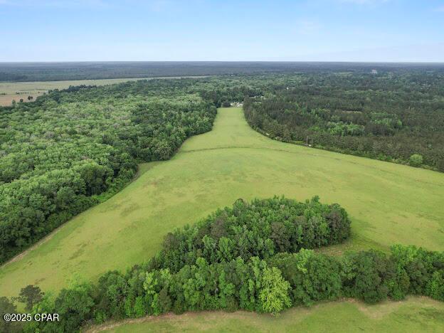 Vernon, Florida, 32462, United States, ,Residential,For Sale,1795705