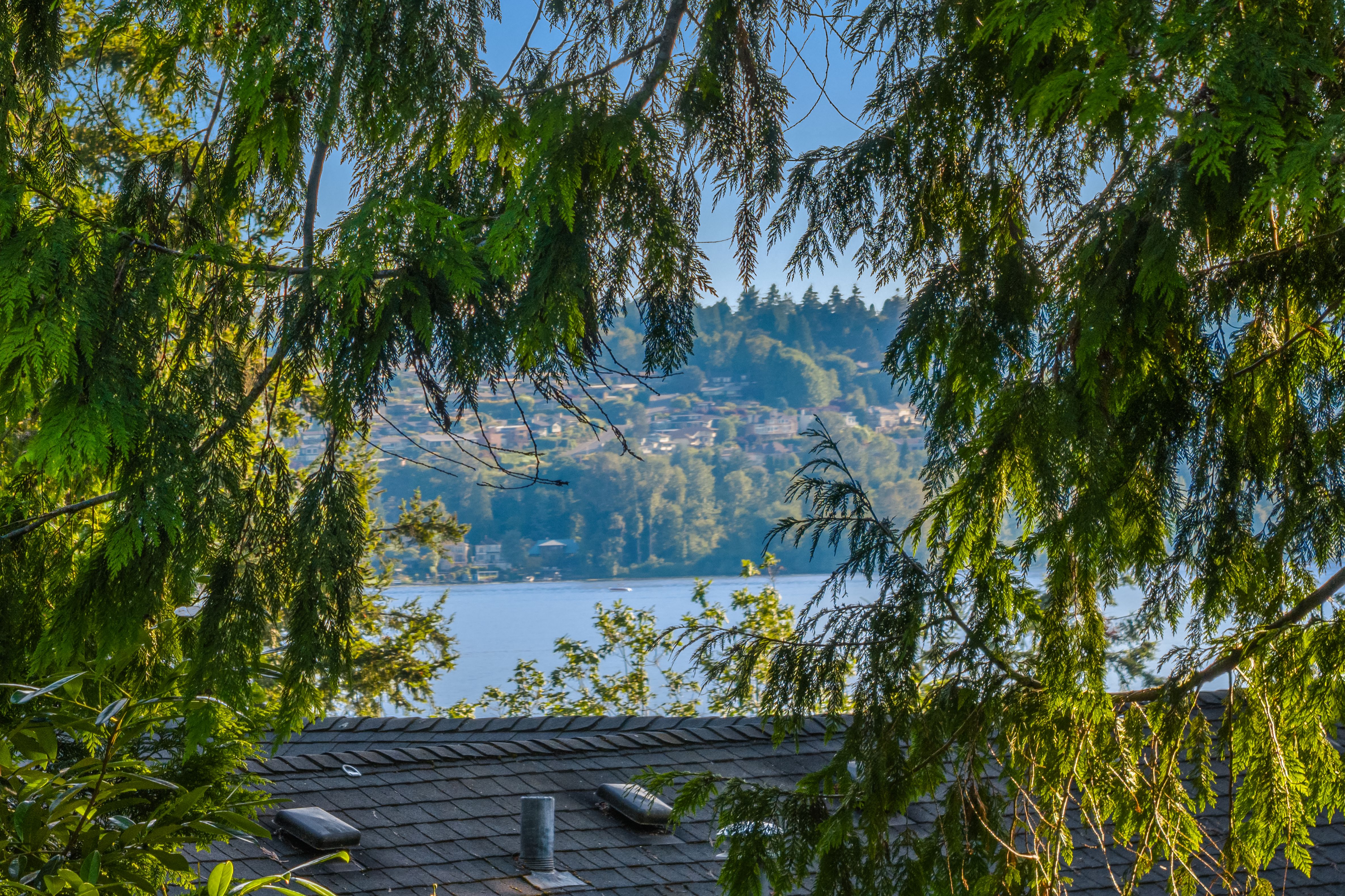  7118 NE 118th St, Kirkland, WA 98034 - 物件實景