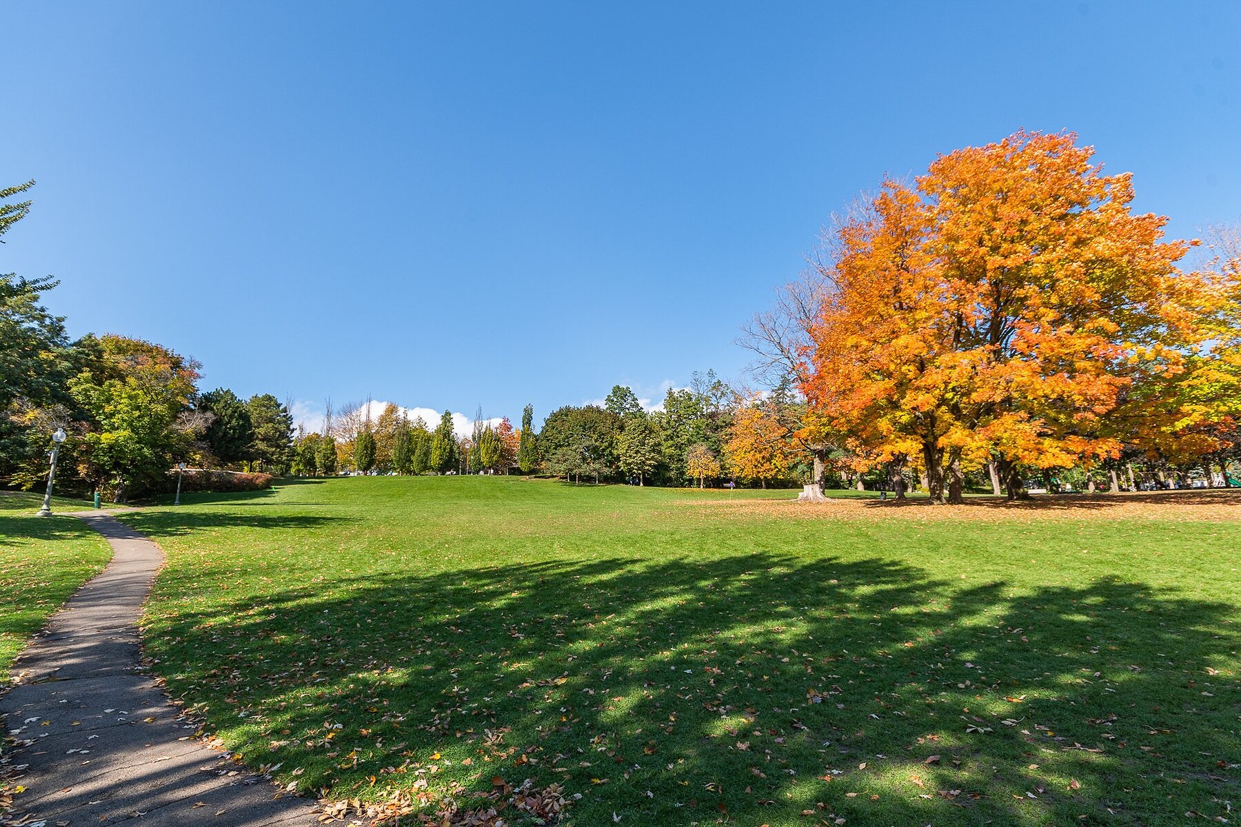  Westmount, Montréal - 物件實景