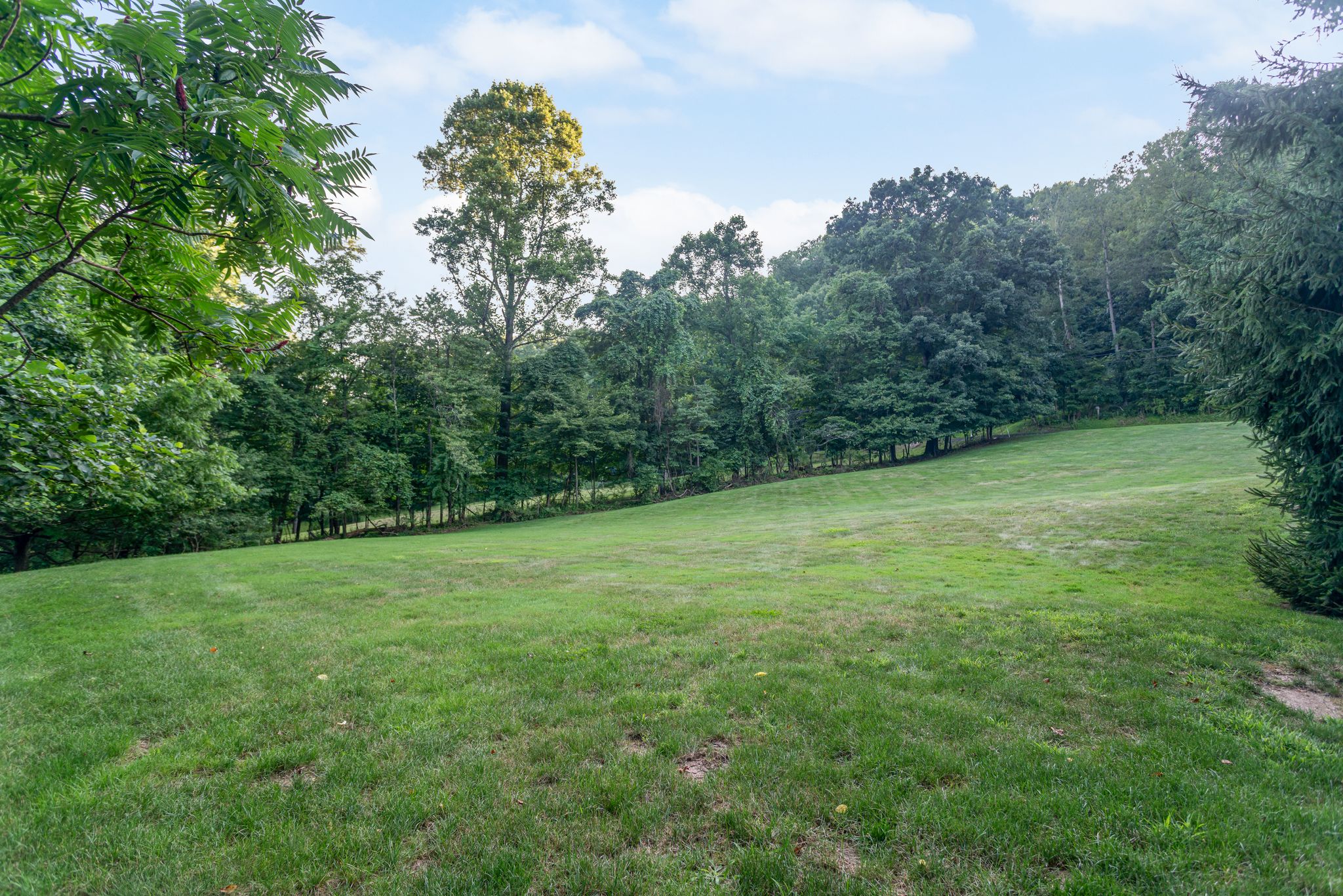  3424 Lashan Drive, Murrysville, PA 15668 - 物件實景