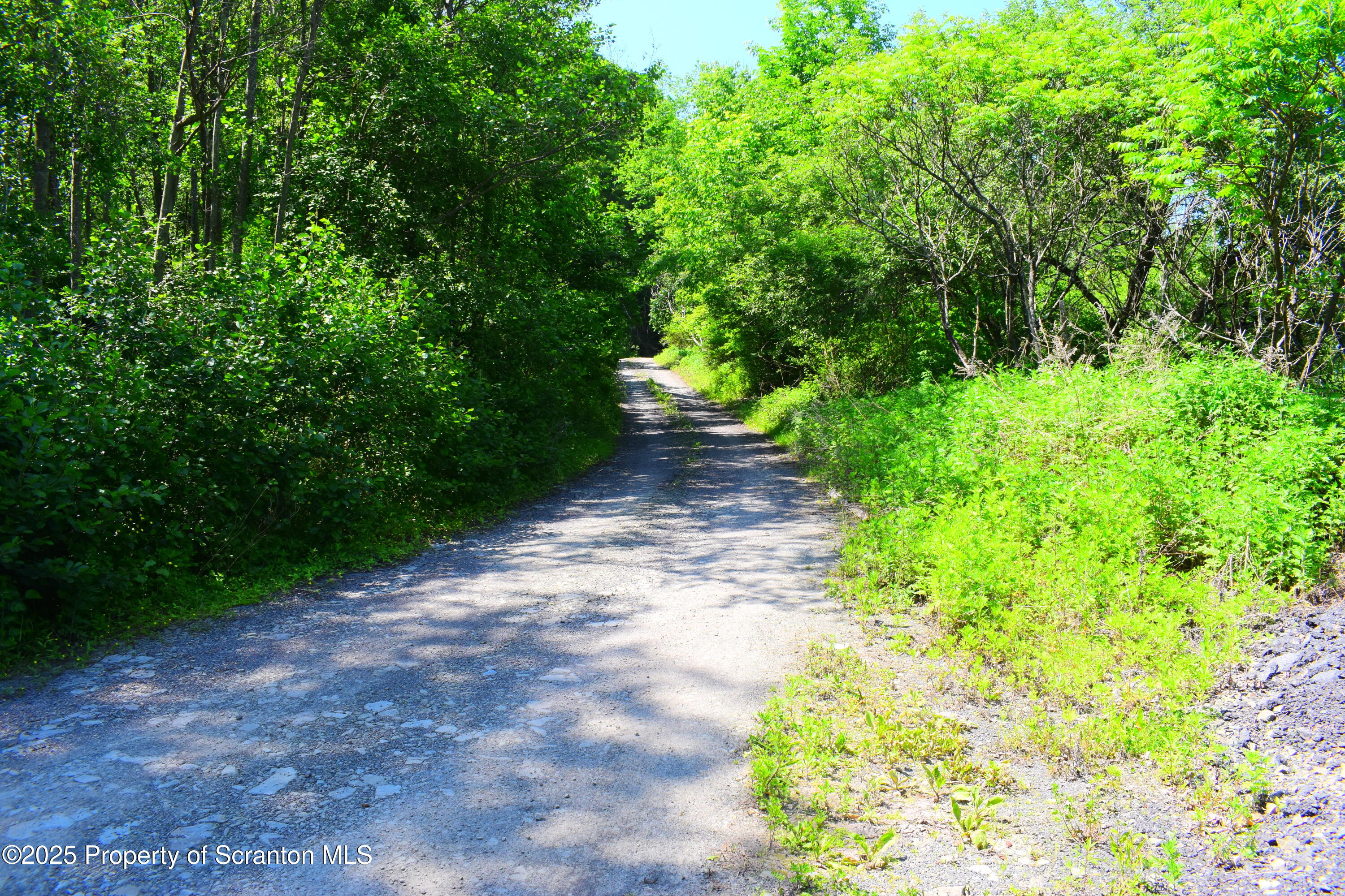 State Route 92, Susquehanna, Pennsylvania, 18847, United States, ,Land,For Sale,State Route 92,1665959