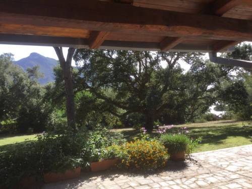 Via Tamerice, Sabaudia, Latina, 04016, IT, 5 Bedrooms Bedrooms, ,4 BathroomsBathrooms,Residential,For Sale,Via Tamerice,1611092