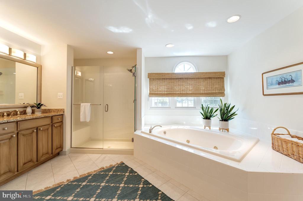 Vienna, Virginia, 22182, United States, 5 Bedrooms Bedrooms, ,6 BathroomsBathrooms,Residential,For Sale,1943879