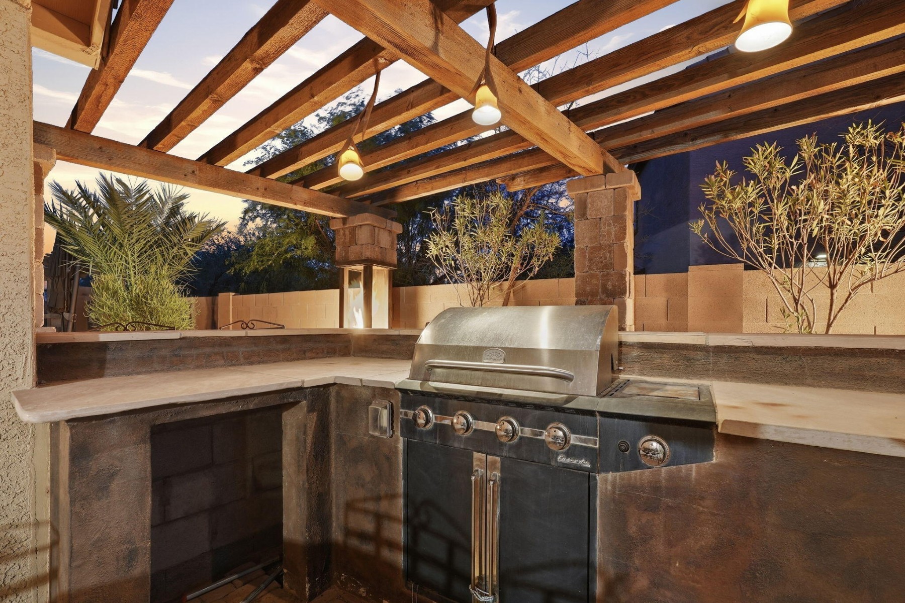  29515 N Little Leaf Dr ¦ San Tan Valley, AZ - 物件實景