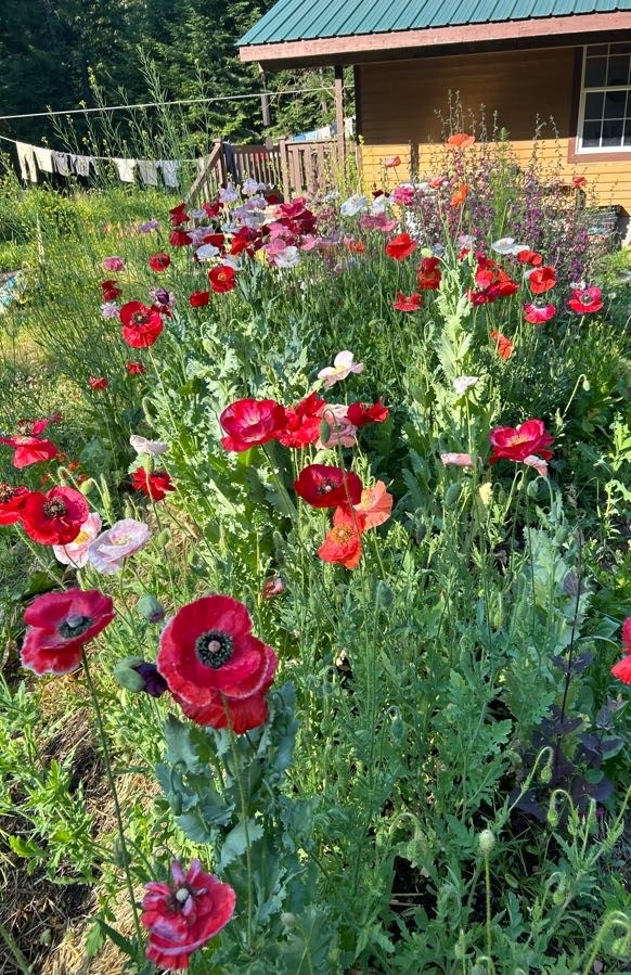 Sandpoint, Idaho, 83864, United States, 2 Bedrooms Bedrooms, ,2 BathroomsBathrooms,Residential,For Sale,2006058