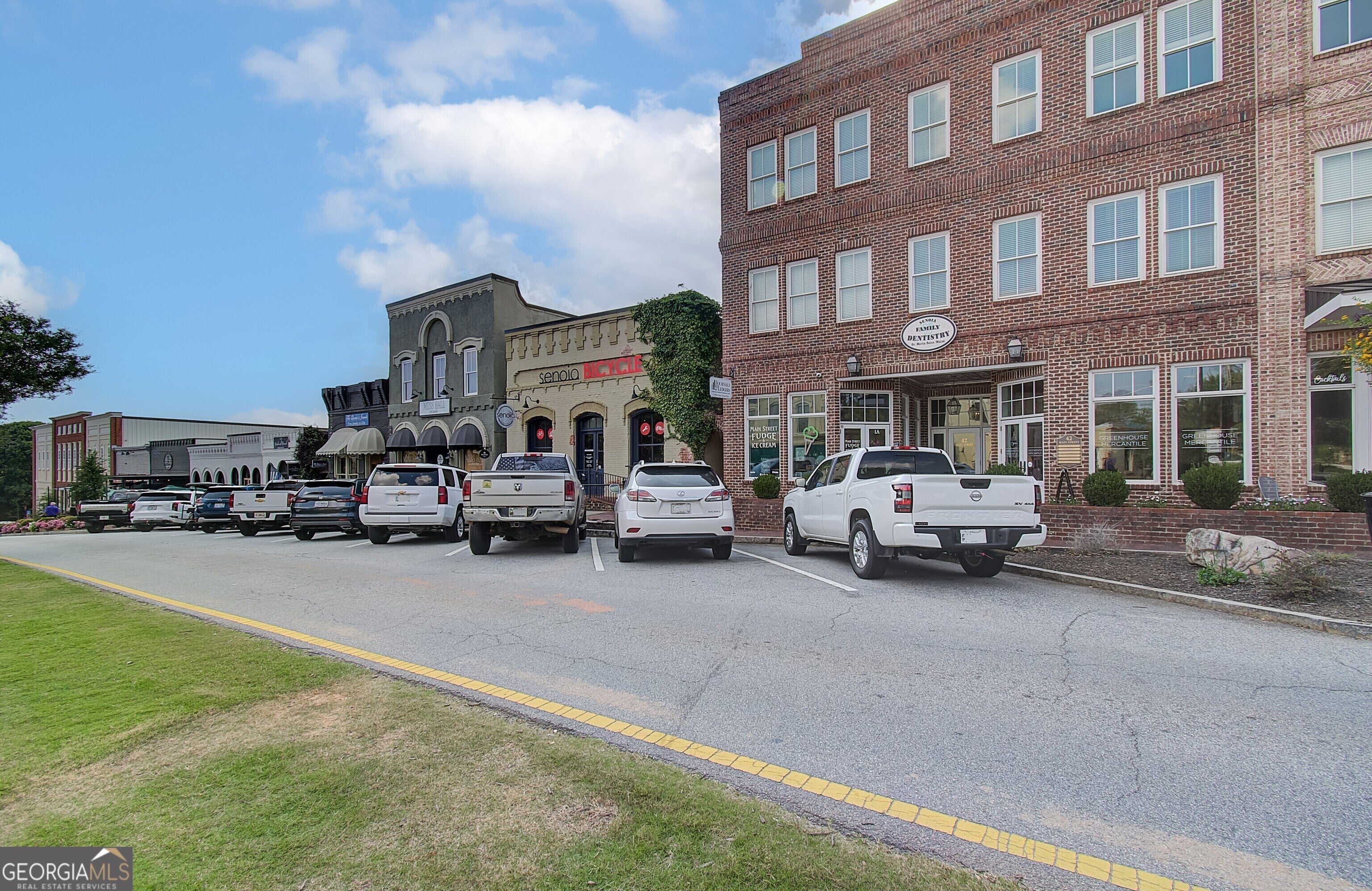 Senoia, Georgia, 30276, United States, 4 Bedrooms Bedrooms, ,4 BathroomsBathrooms,Residential,For Sale,2008995