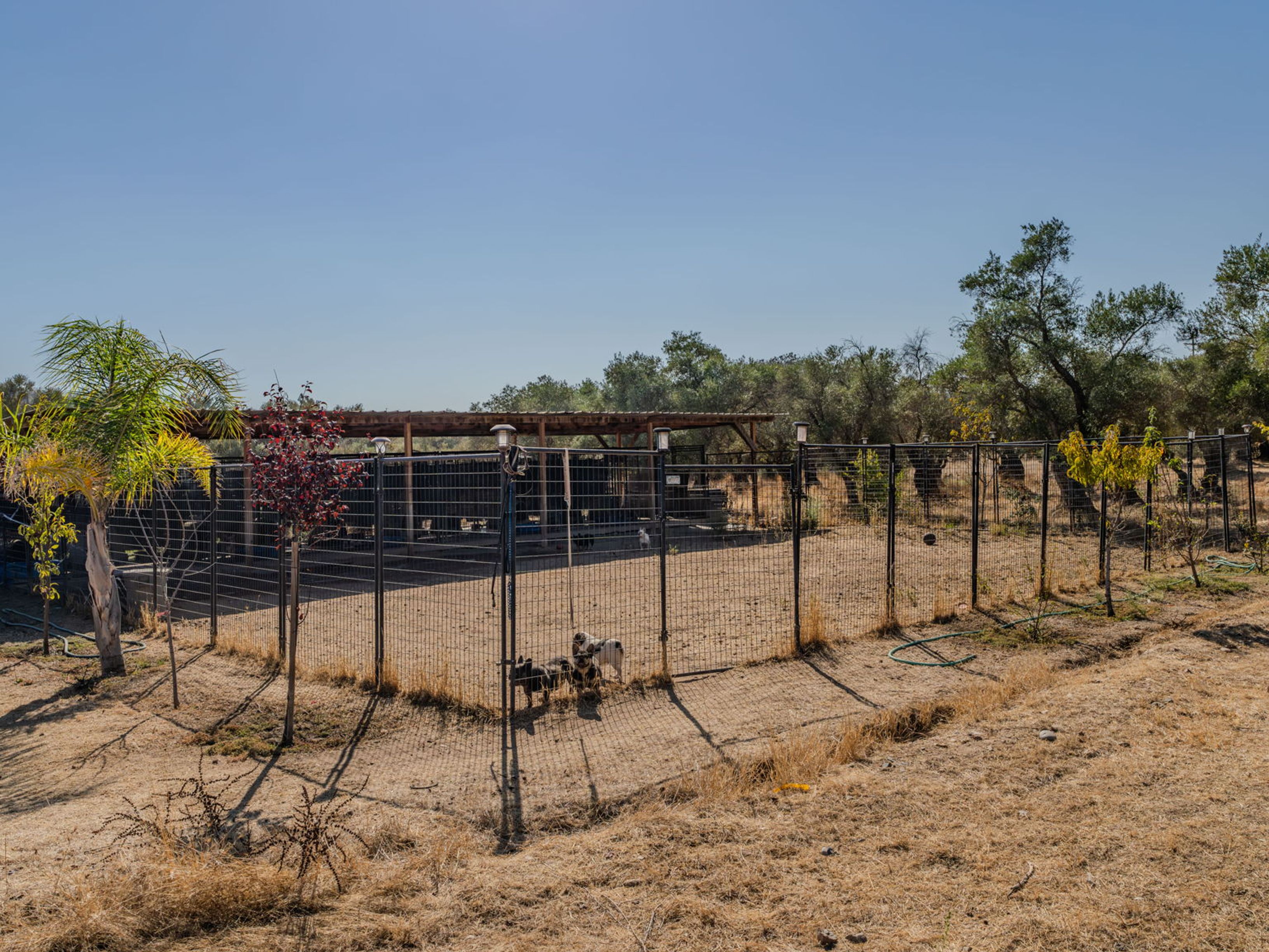  5250 West Lake Road, Valley Springs, CA 95252 - 物件實景