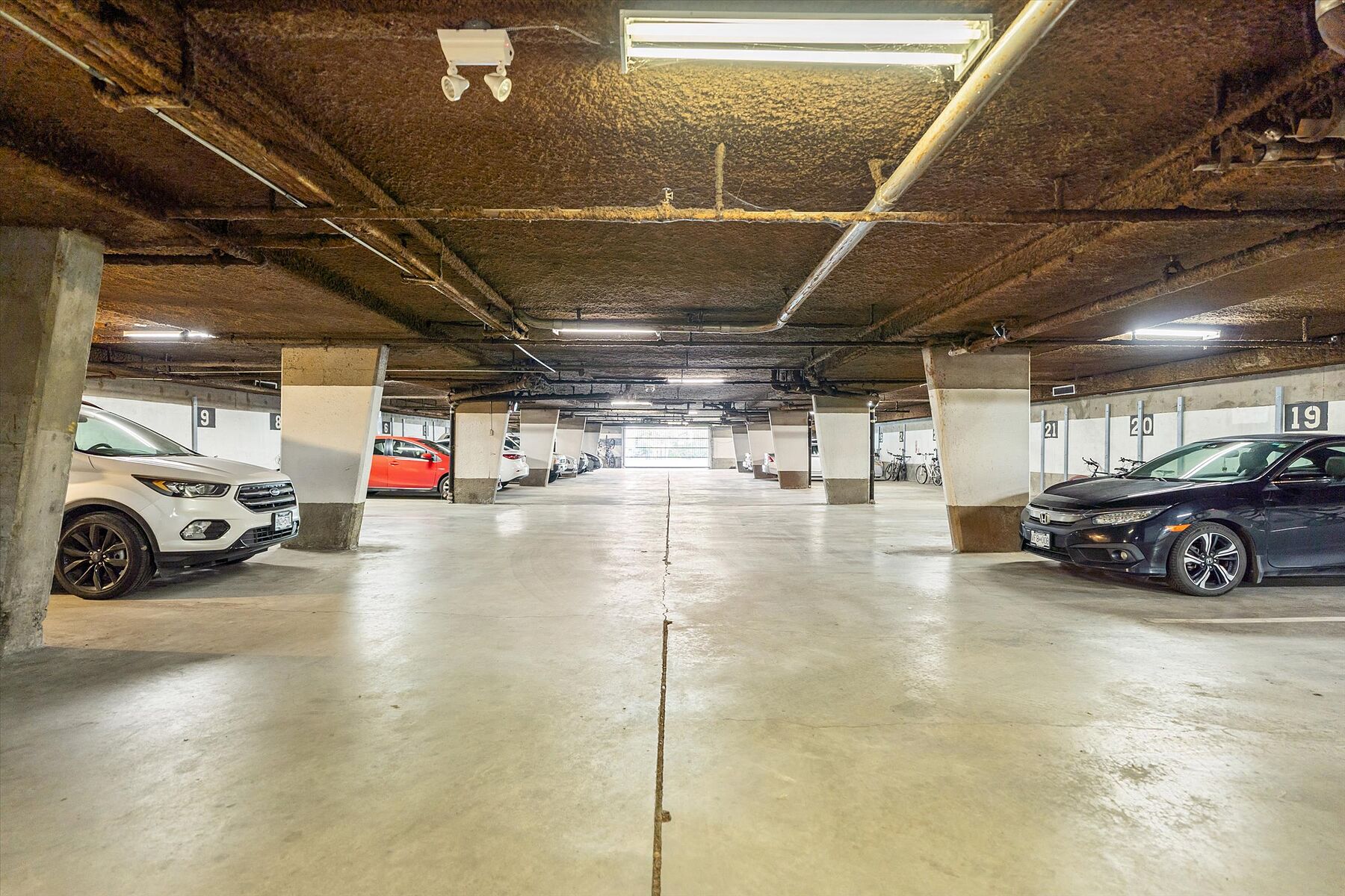  Comfortable & Bright - 物件實景