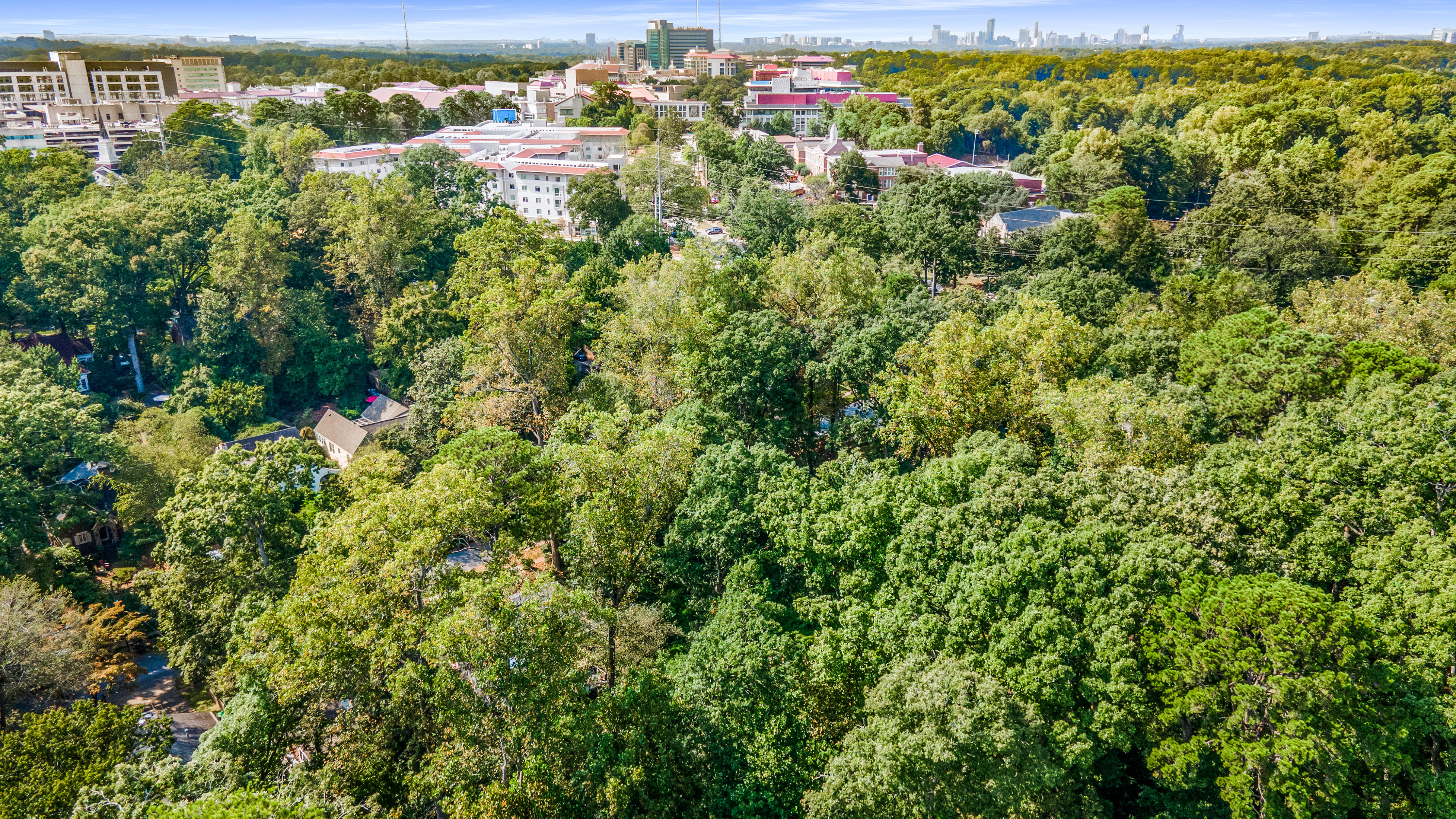  Three Contiguous Lots for New Construction in Historic Druid Hills - 物件實景