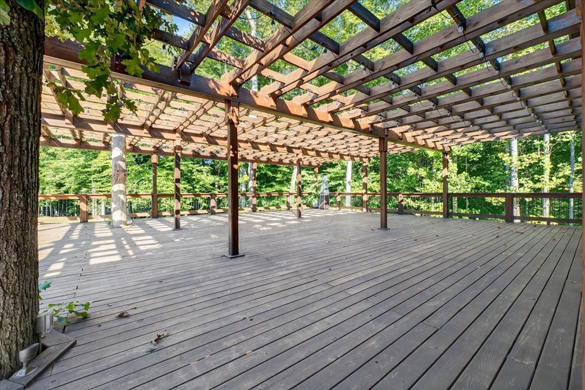  3975 Jarman Hollow Rd, Palmyra, TN, 37142 - 物件實景