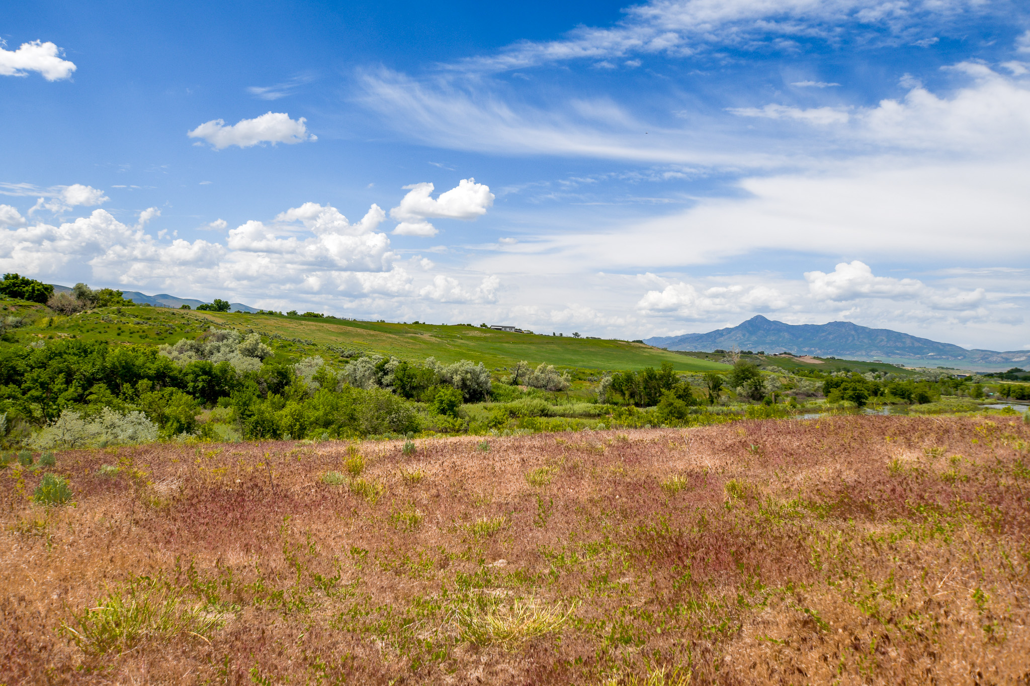 Deweyville, Utah, 84309, United States, ,Land,For Sale,1848401