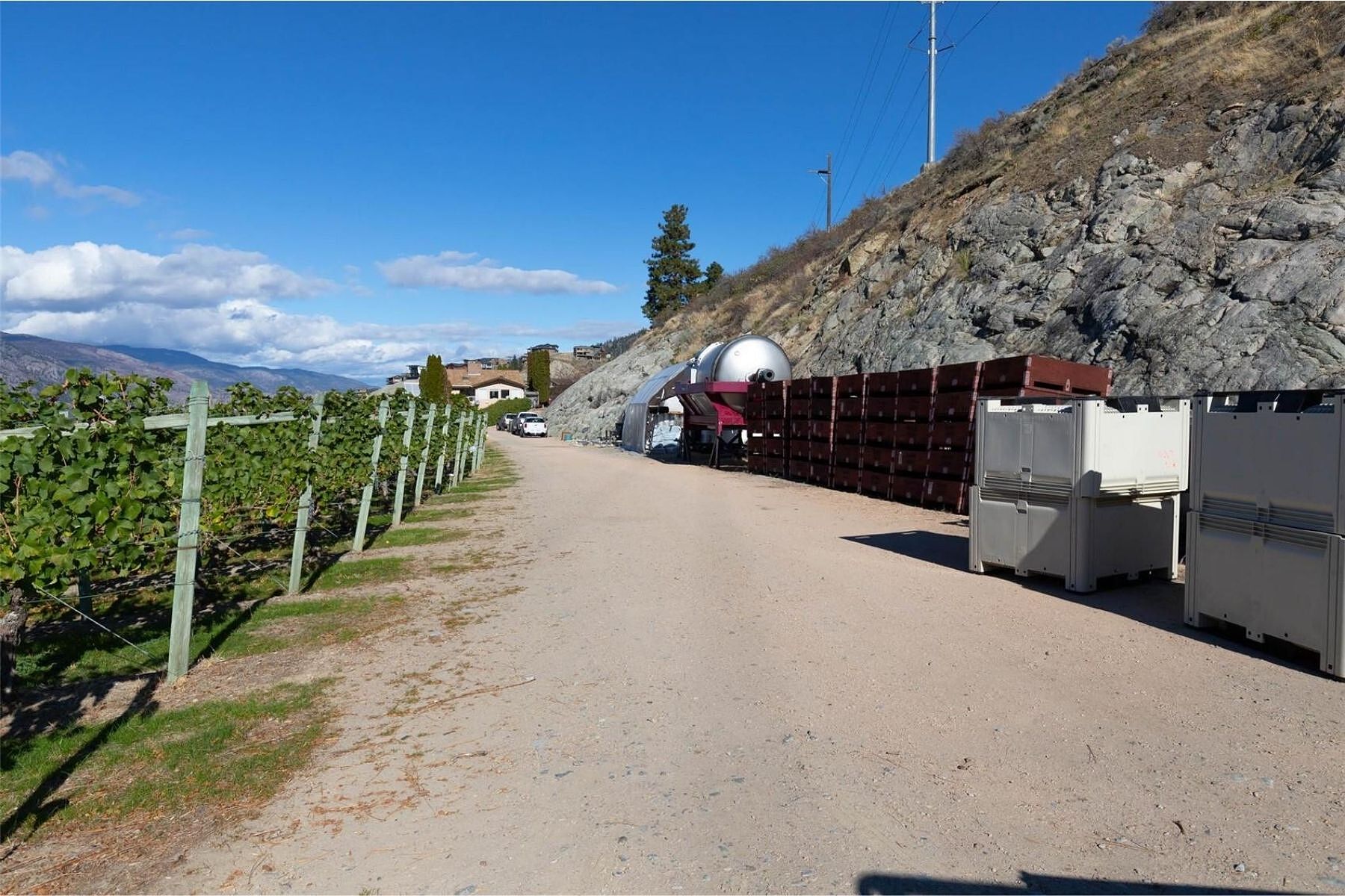  Boutique Okanagan Winery - 物件實景
