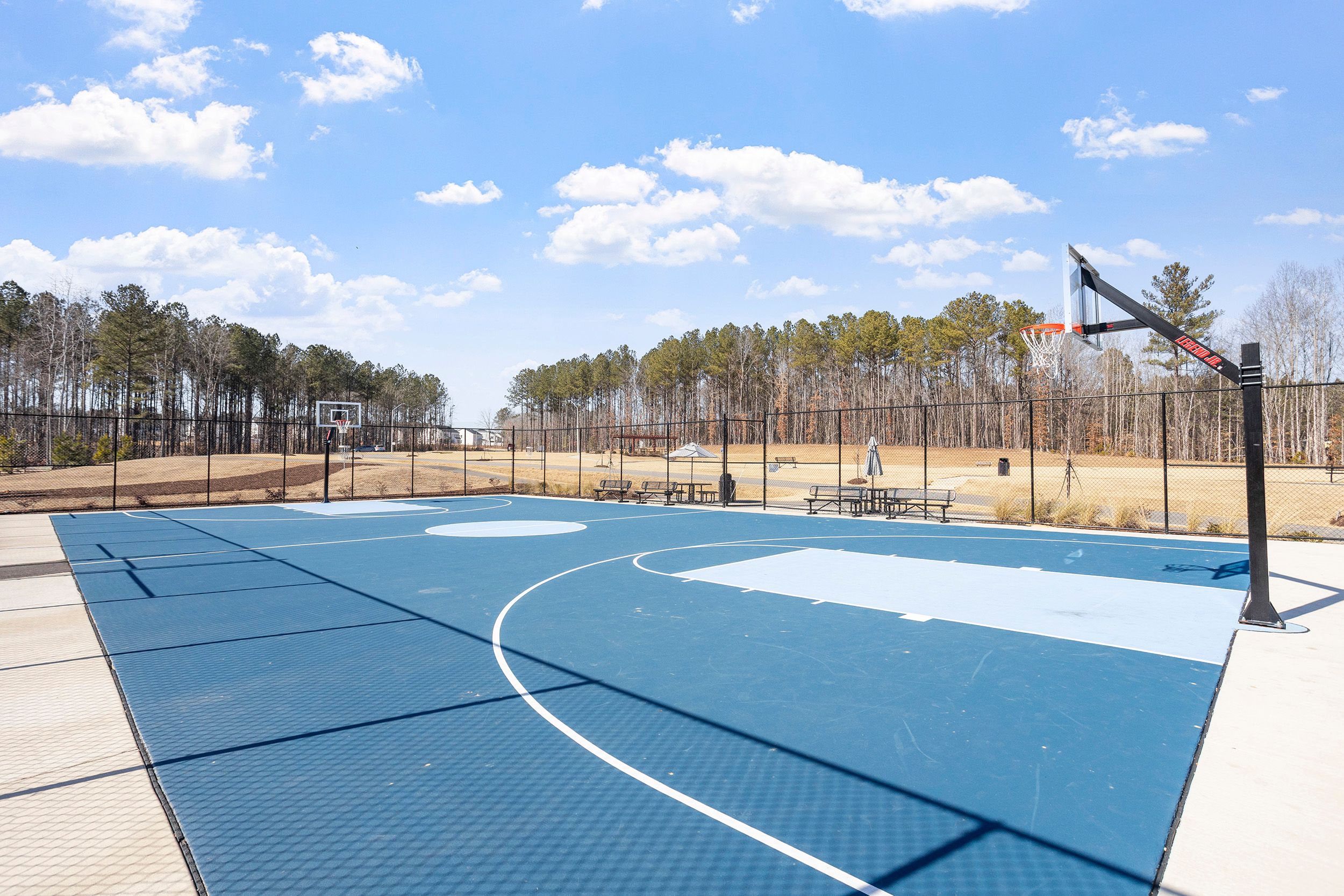  156 Sweet Lilac Way, Raleigh, NC 27610 - 物件實景